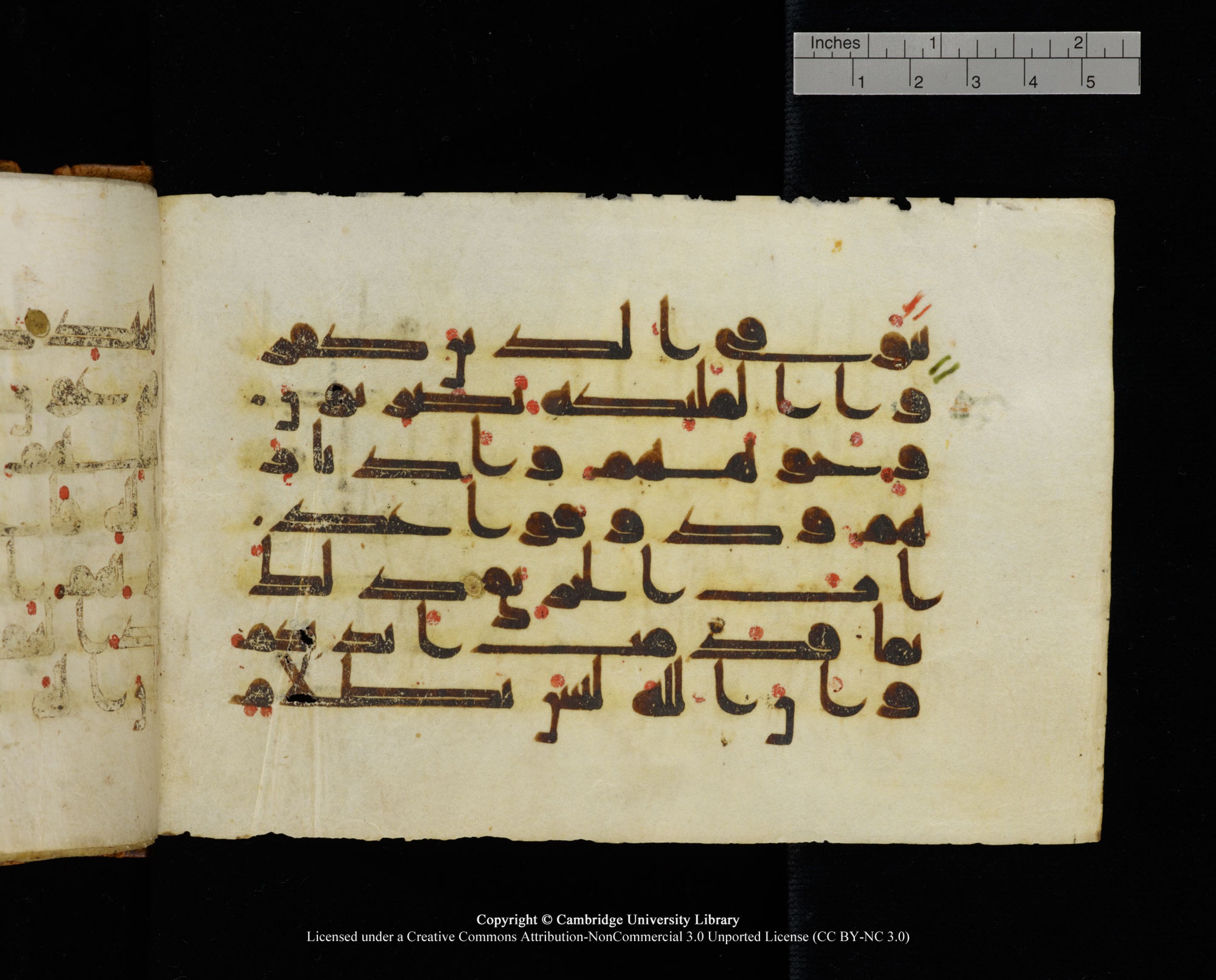 MS Add.1124 (Scan 1), in kūfī D I script, showing Surah 8:51 from 9th to 10th Century AD found in Sinai Peninsula, currently housed at Cambridge University Library, Cambridge