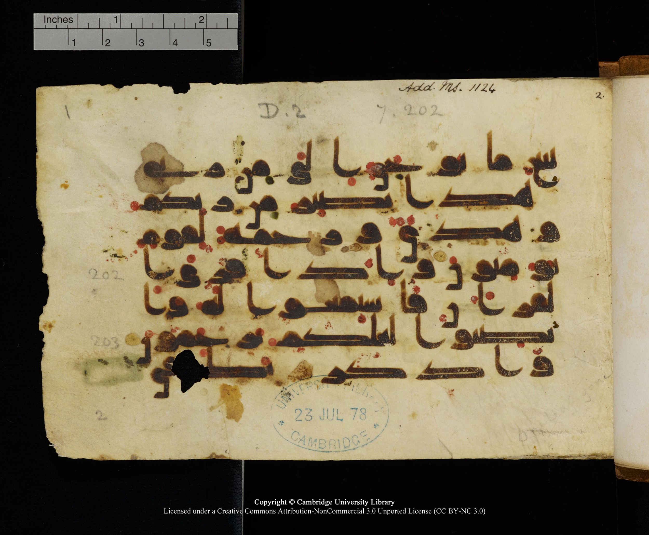 MS Add.1124 (Scan 1), in kūfī D I script, showing Surah 7:205 from 9th to 10th Century AD found in Sinai Peninsula, currently housed at Cambridge University Library, Cambridge