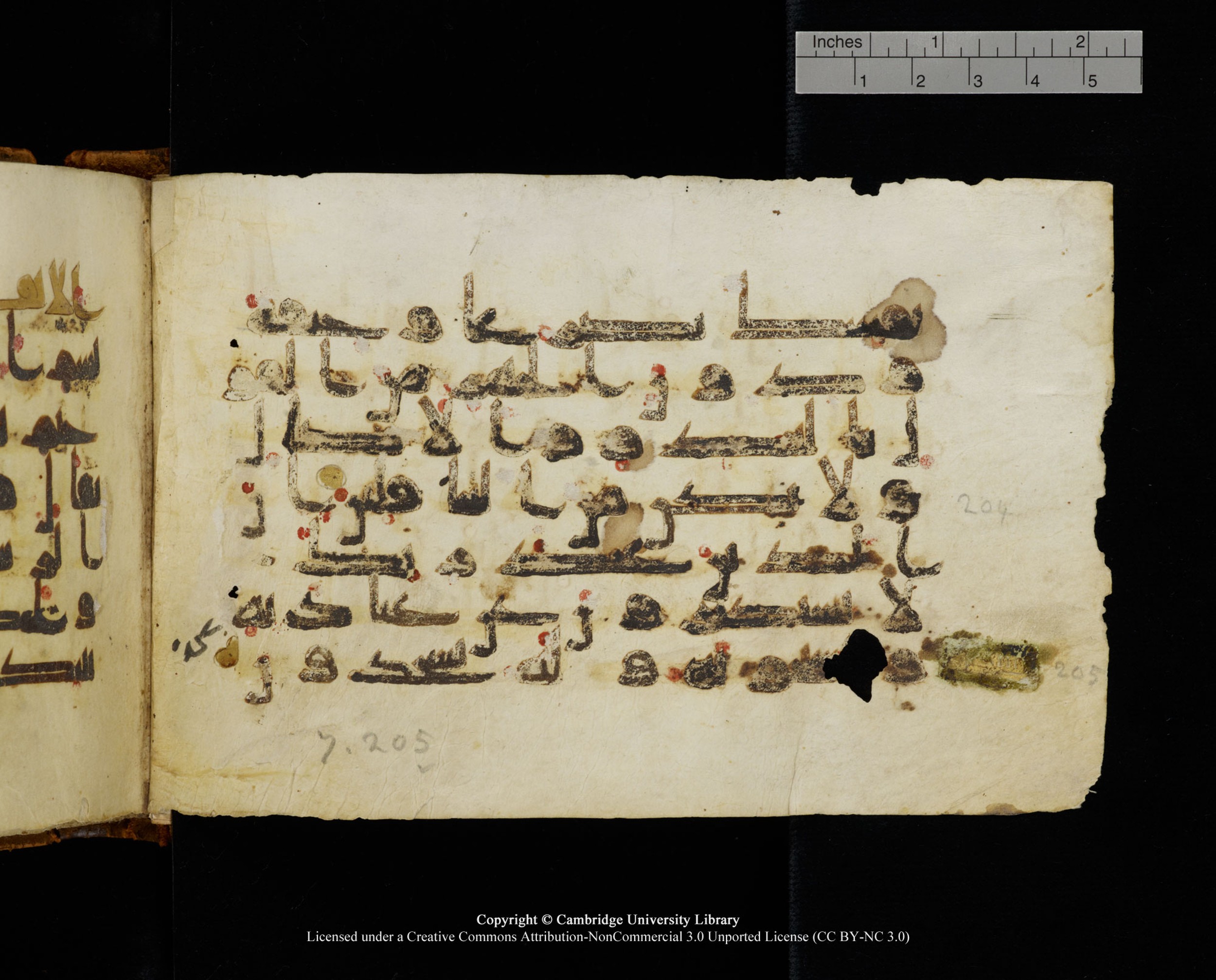 MS Add.1124 (Scan 2), in kūfī D I script, showing Surah 7:205 from 9th to 10th Century AD found in Sinai Peninsula, currently housed at Cambridge University Library, Cambridge