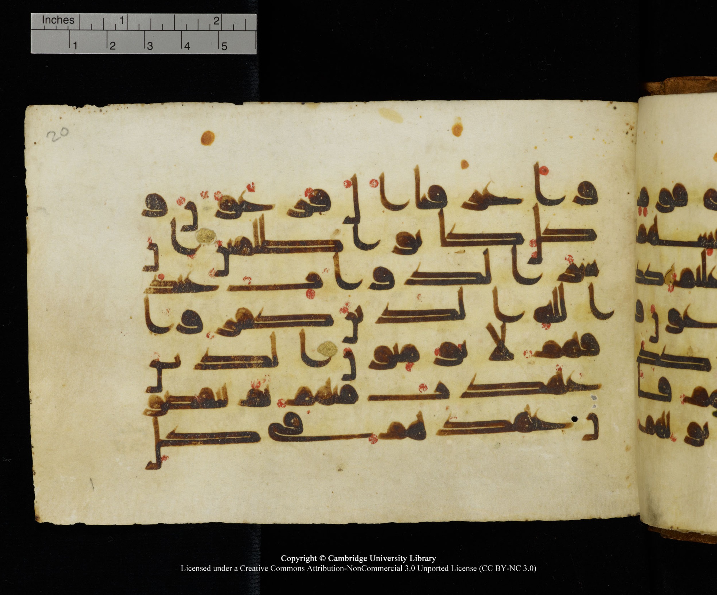 MS Add.1124 (Scan 1), in kūfī D I script, showing Surah 8:56 from 9th to 10th Century AD found in Sinai Peninsula, currently housed at Cambridge University Library, Cambridge
