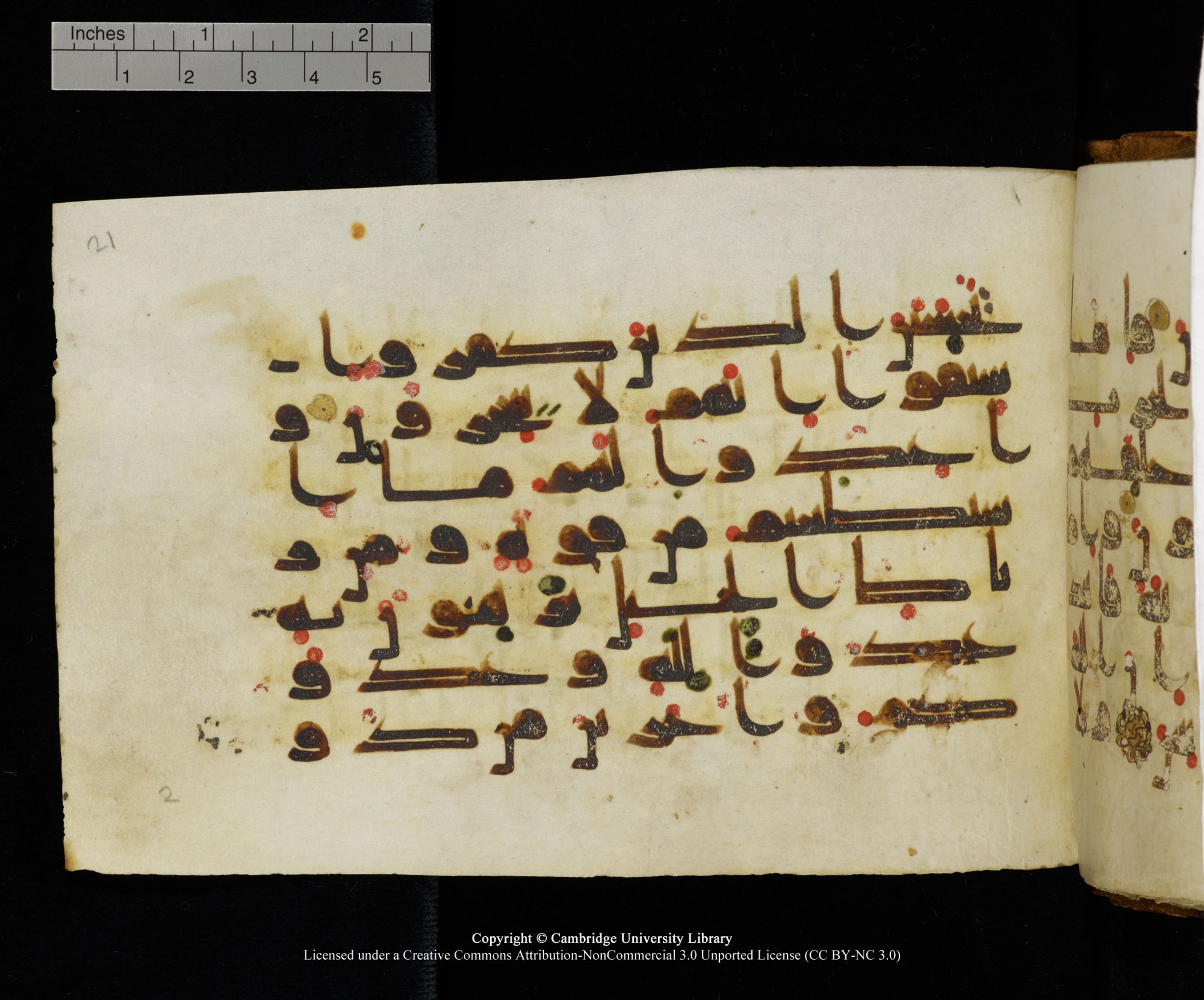 MS Add.1124 (Scan 2), in kūfī D I script, showing Surah 8:59 from 9th to 10th Century AD found in Sinai Peninsula, currently housed at Cambridge University Library, Cambridge
