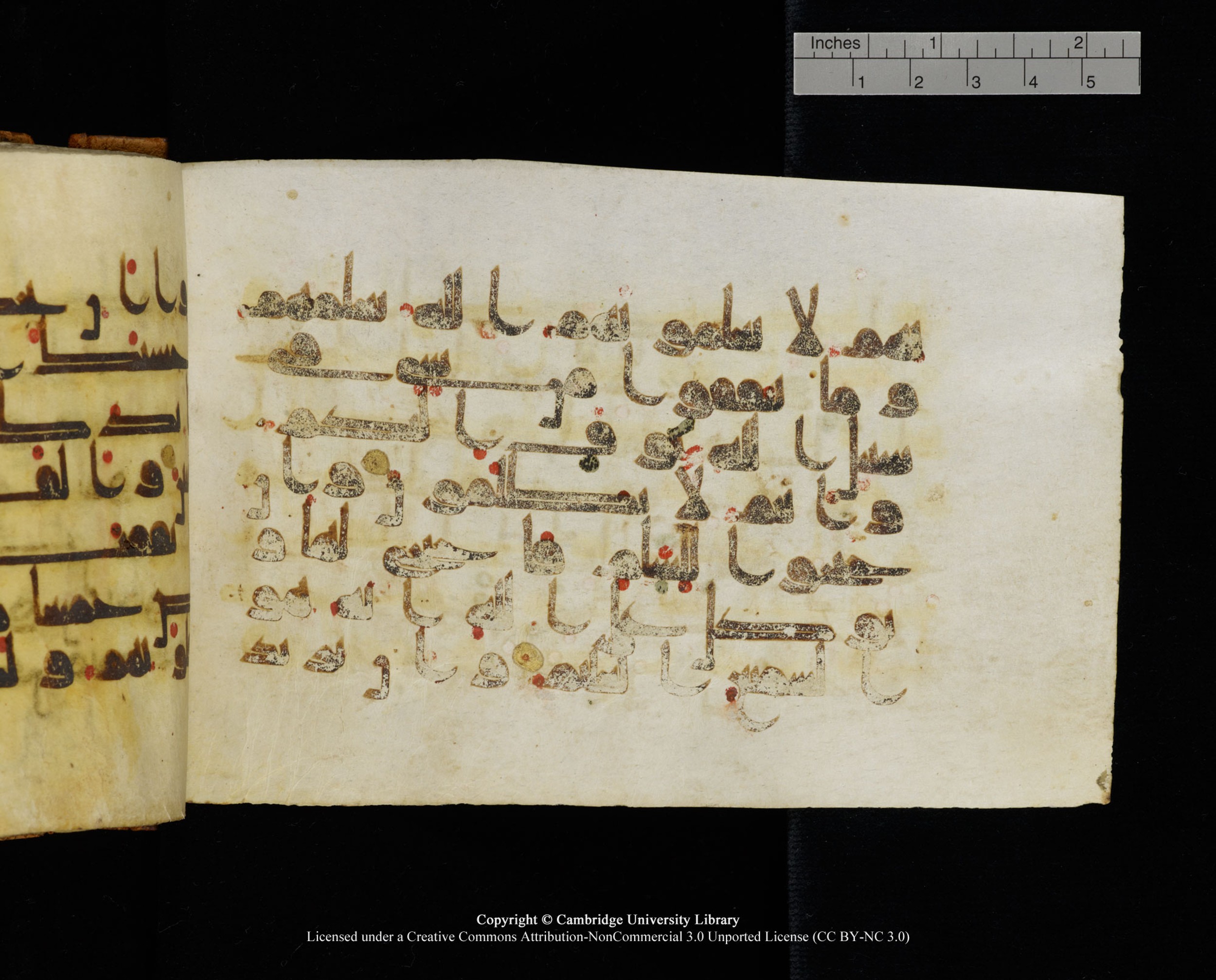 MS Add.1124 (Scan 1), in kūfī D I script, showing Surah 8:62 from 9th to 10th Century AD found in Sinai Peninsula, currently housed at Cambridge University Library, Cambridge