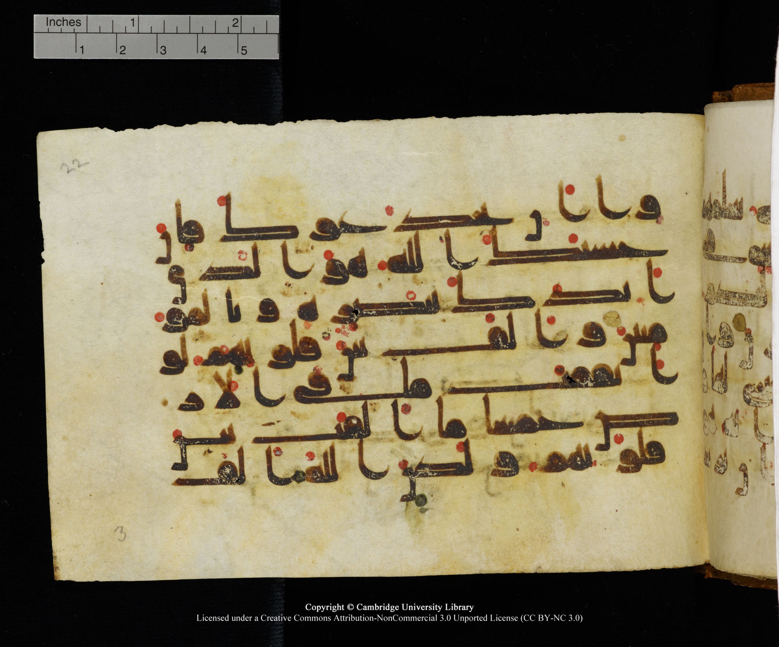 MS Add.1124 (Scan 1), in kūfī D I script, showing Surah 8:63 from 9th to 10th Century AD found in Sinai Peninsula, currently housed at Cambridge University Library, Cambridge