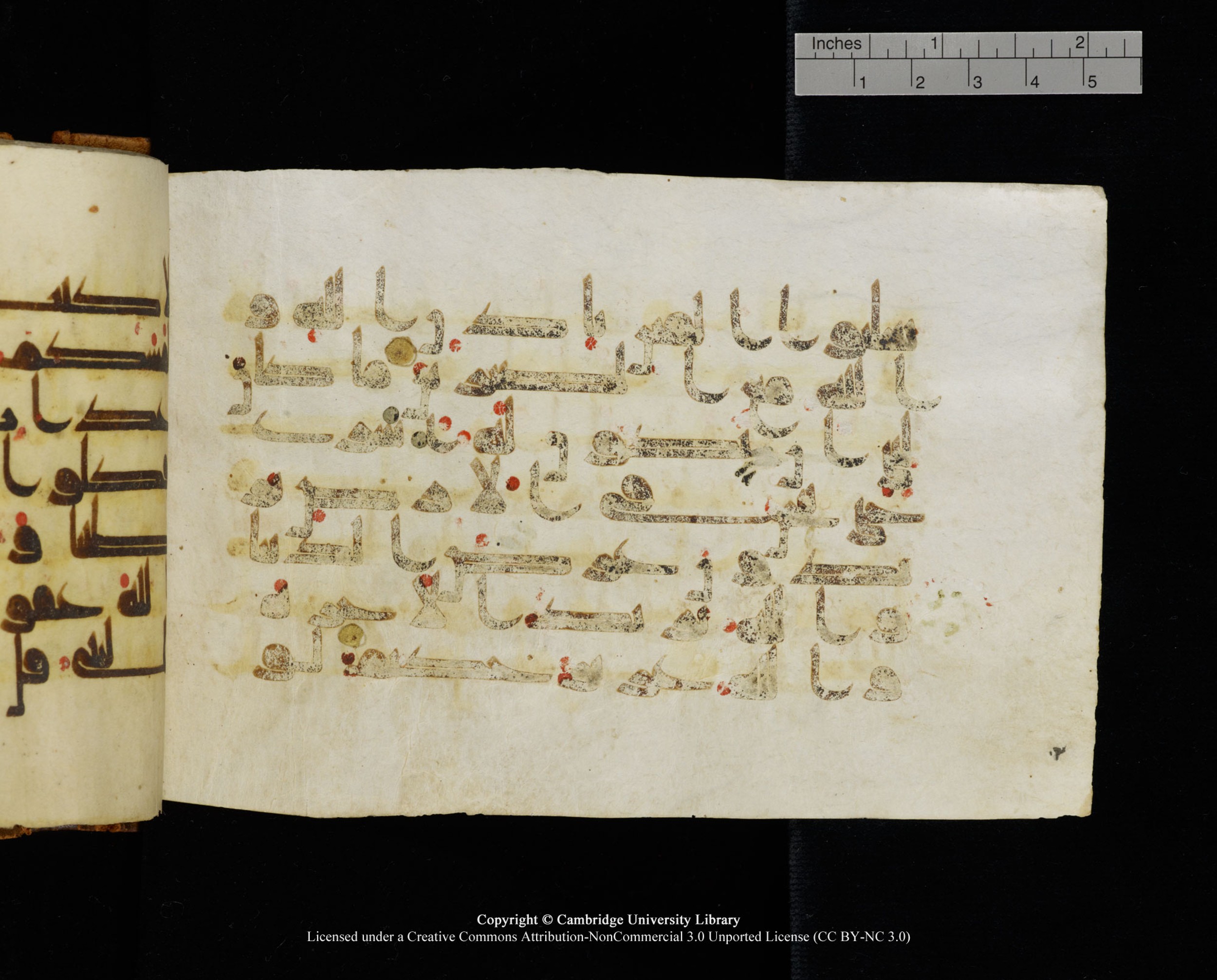 MS Add.1124 (Scan 2), in kūfī D I script, showing Surah 8:66 from 9th to 10th Century AD found in Sinai Peninsula, currently housed at Cambridge University Library, Cambridge