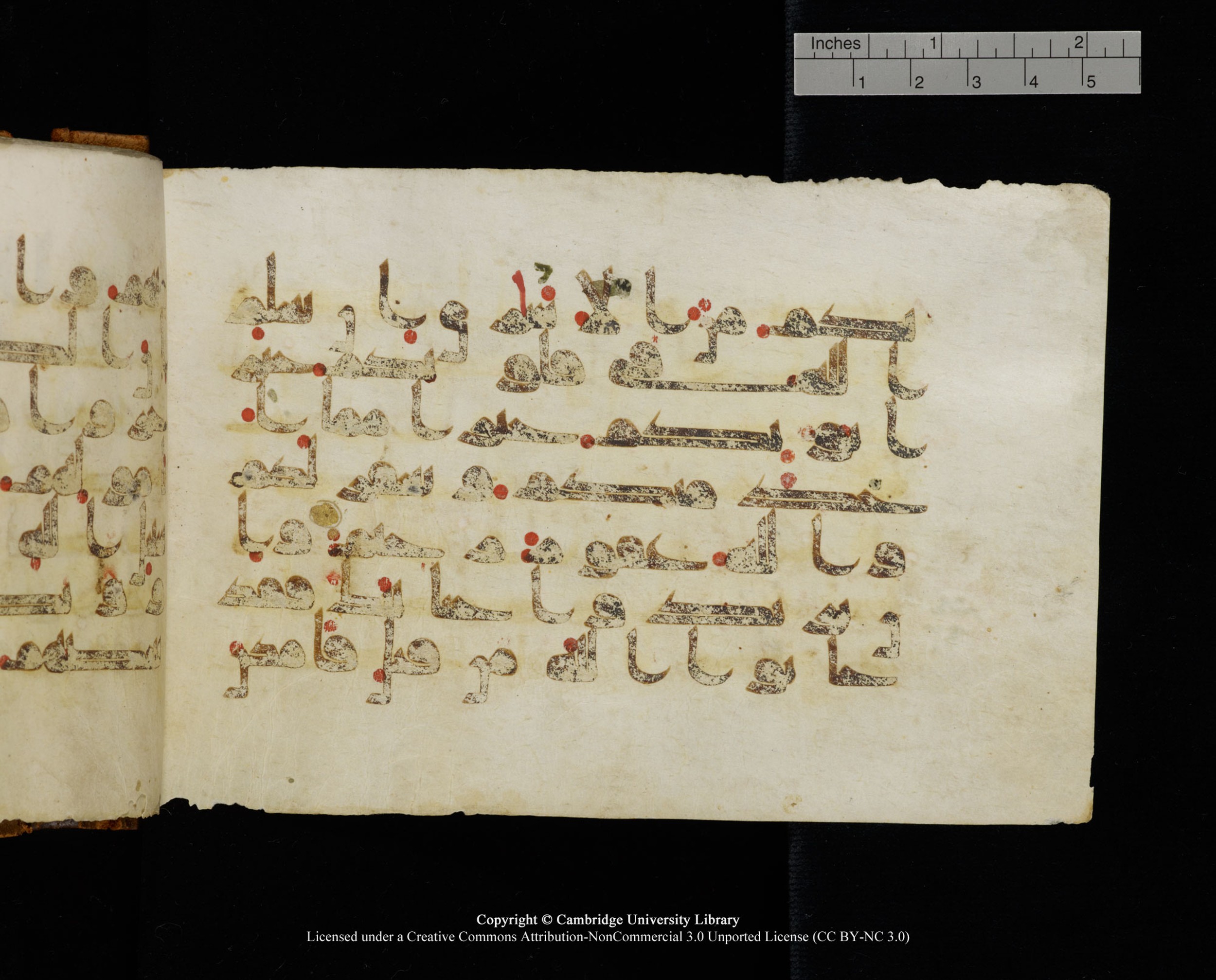 MS Add.1124 (Scan 1), in kūfī D I script, showing Surah 8:71 from 9th to 10th Century AD found in Sinai Peninsula, currently housed at Cambridge University Library, Cambridge