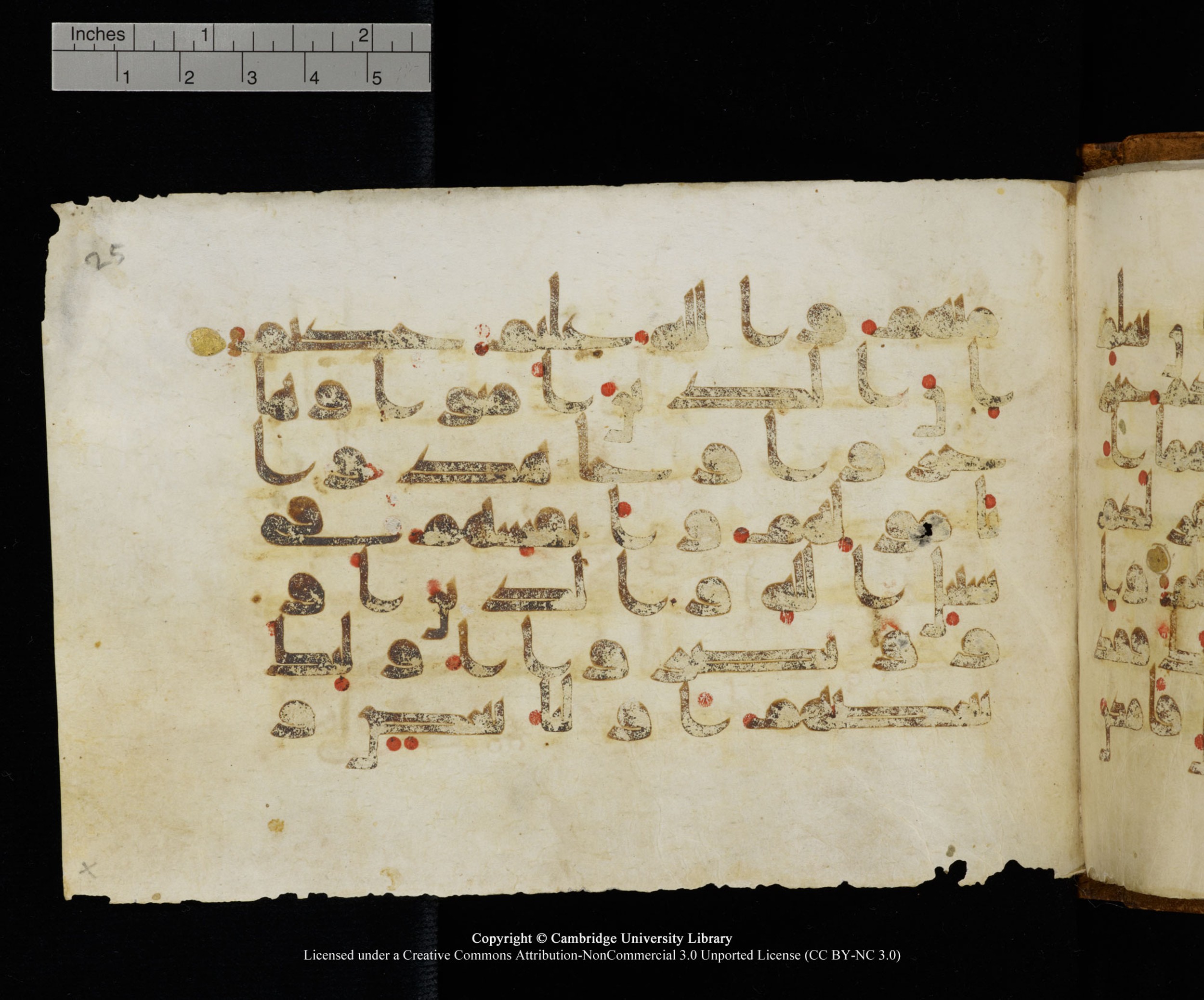 MS Add.1124 (Scan 2), in kūfī D I script, showing Surah 8:71 from 9th to 10th Century AD found in Sinai Peninsula, currently housed at Cambridge University Library, Cambridge