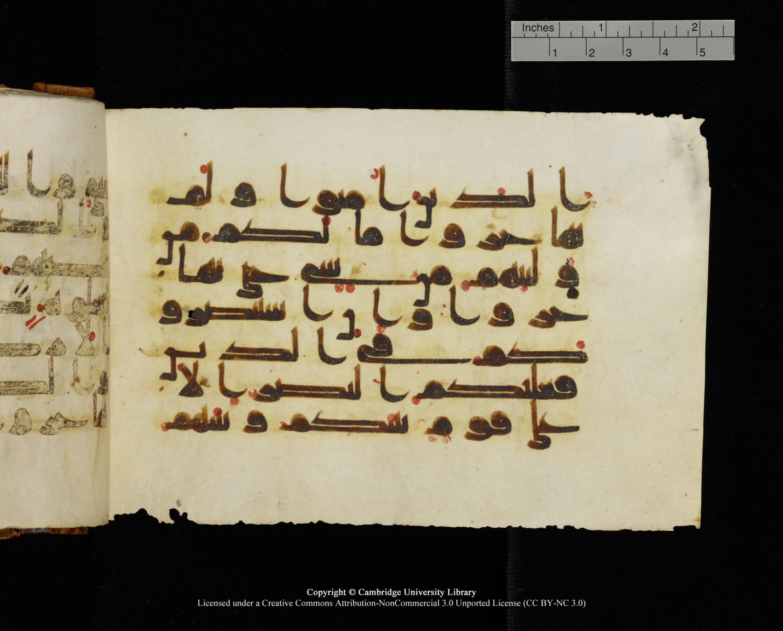 MS Add.1124 (Scan 2), in kūfī D I script, showing Surah 8:72 from 9th to 10th Century AD found in Sinai Peninsula, currently housed at Cambridge University Library, Cambridge
