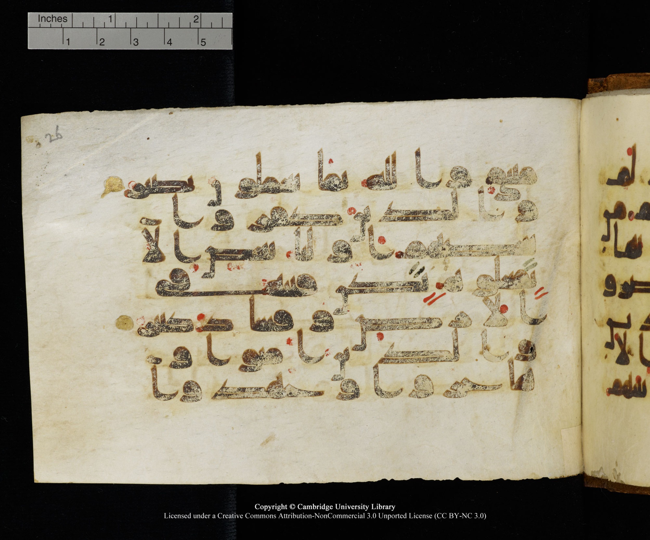 MS Add.1124, in kūfī D I script, showing Surah 8:73 from 9th to 10th Century AD found in Sinai Peninsula, currently housed at Cambridge University Library, Cambridge