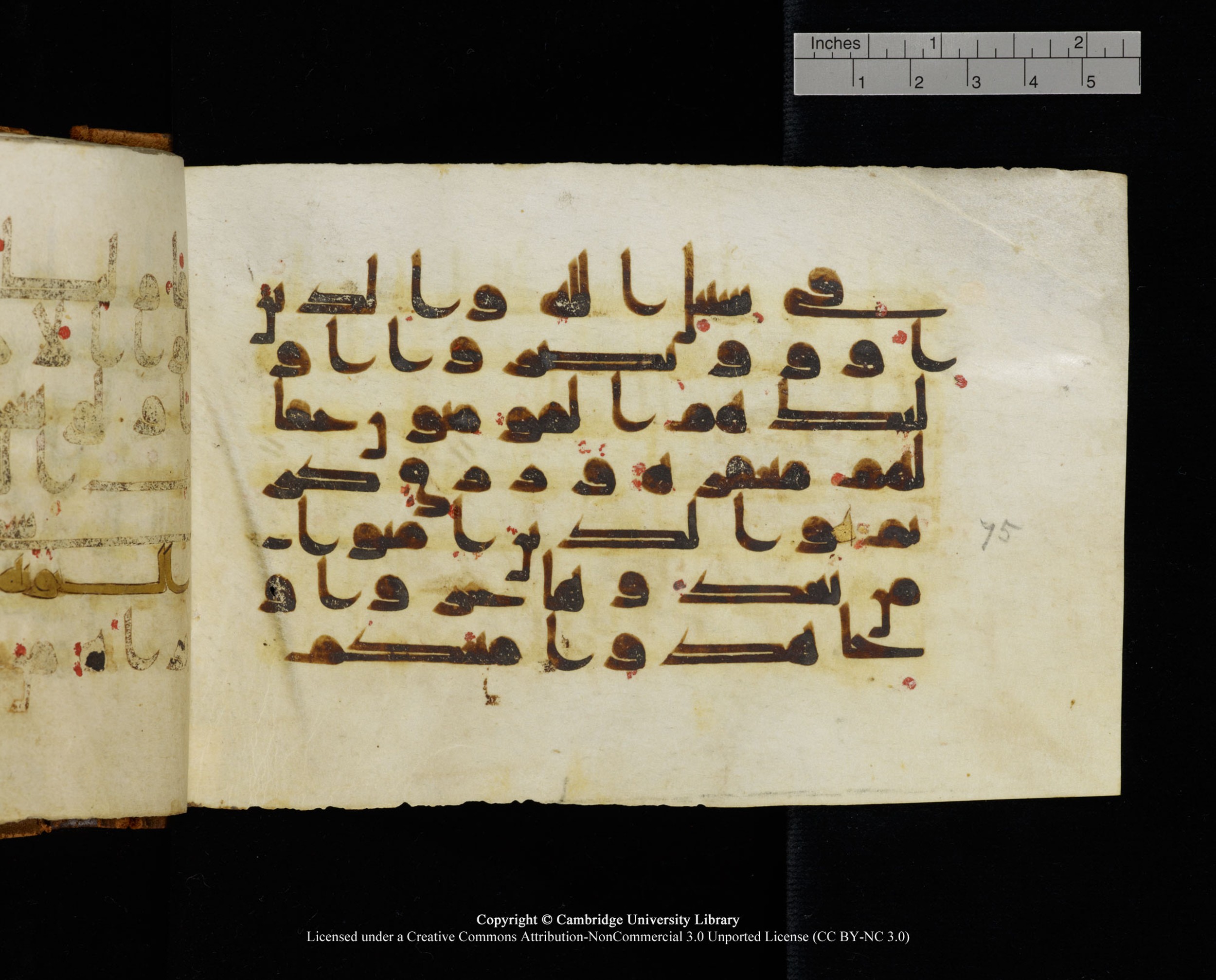 MS Add.1124 (Scan 2), in kūfī D I script, showing Surah 8:74 from 9th to 10th Century AD found in Sinai Peninsula, currently housed at Cambridge University Library, Cambridge