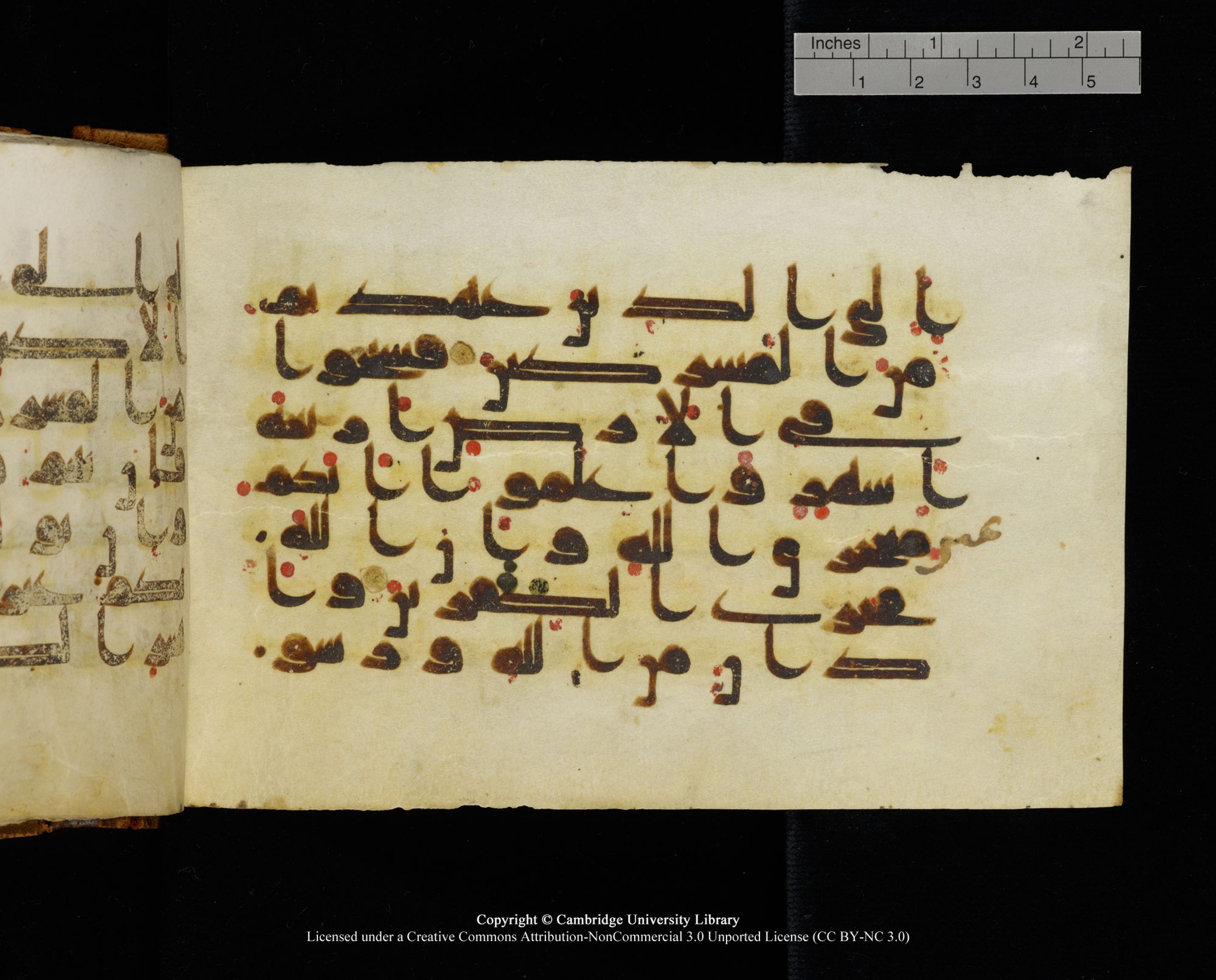 MS Add.1124, in kūfī D I script, showing Surah 9:2 from 9th to 10th Century AD found in Sinai Peninsula, currently housed at Cambridge University Library, Cambridge