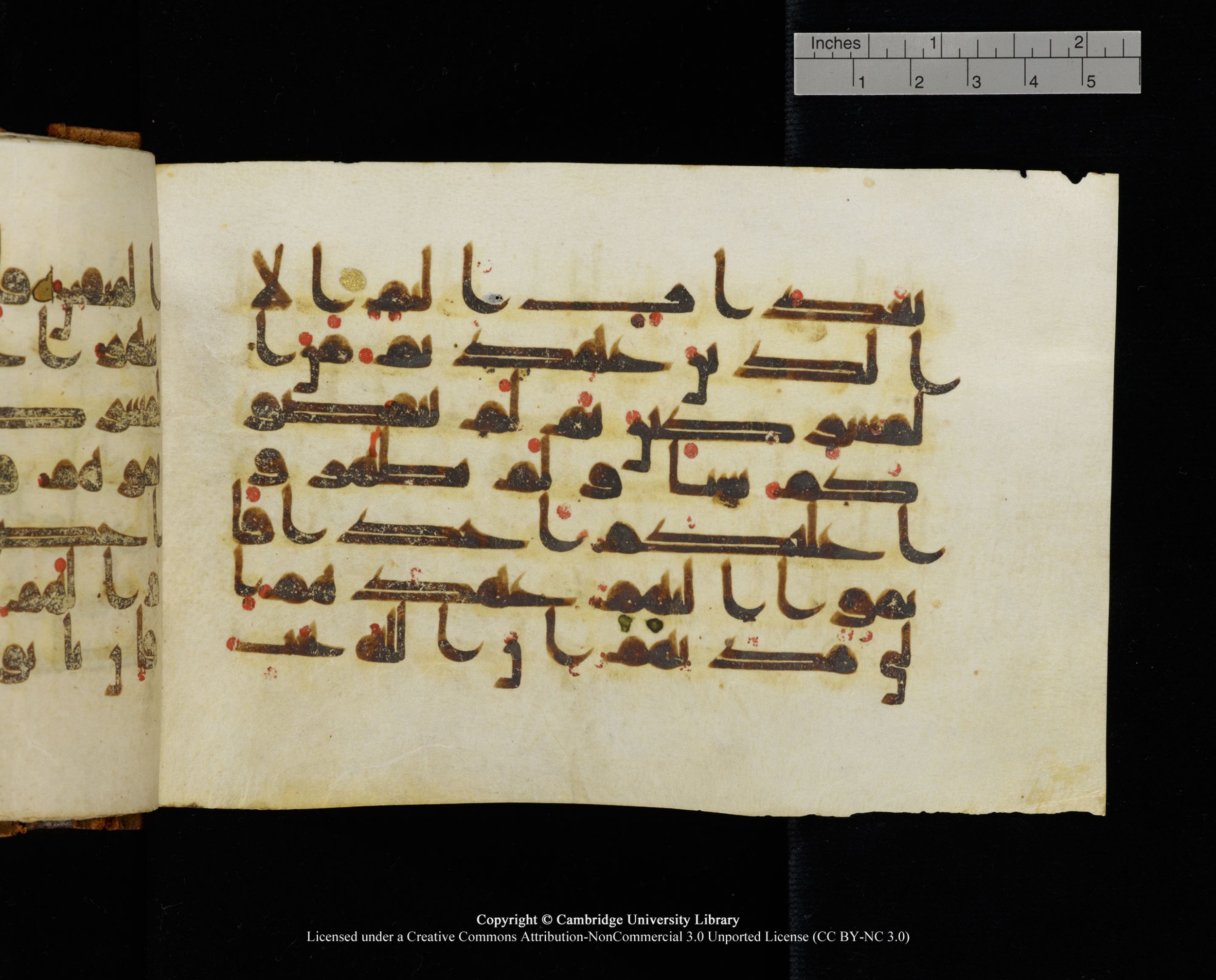 MS Add.1124 (Scan 3), in kūfī D I script, showing Surah 9:3 from 9th to 10th Century AD found in Sinai Peninsula, currently housed at Cambridge University Library, Cambridge