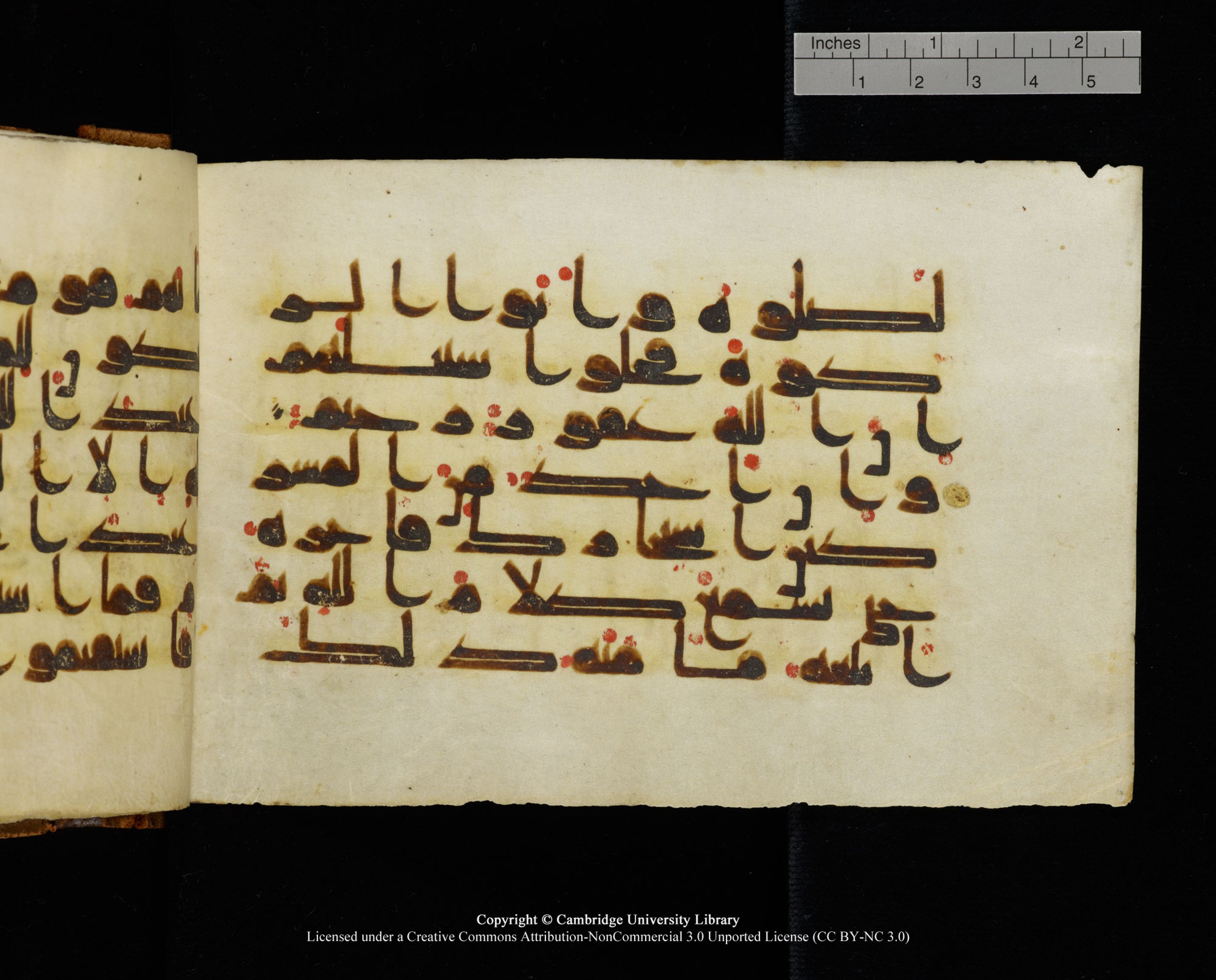 MS Add.1124 (Scan 1), in kūfī D I script, showing Surah 9:6 from 9th to 10th Century AD found in Sinai Peninsula, currently housed at Cambridge University Library, Cambridge