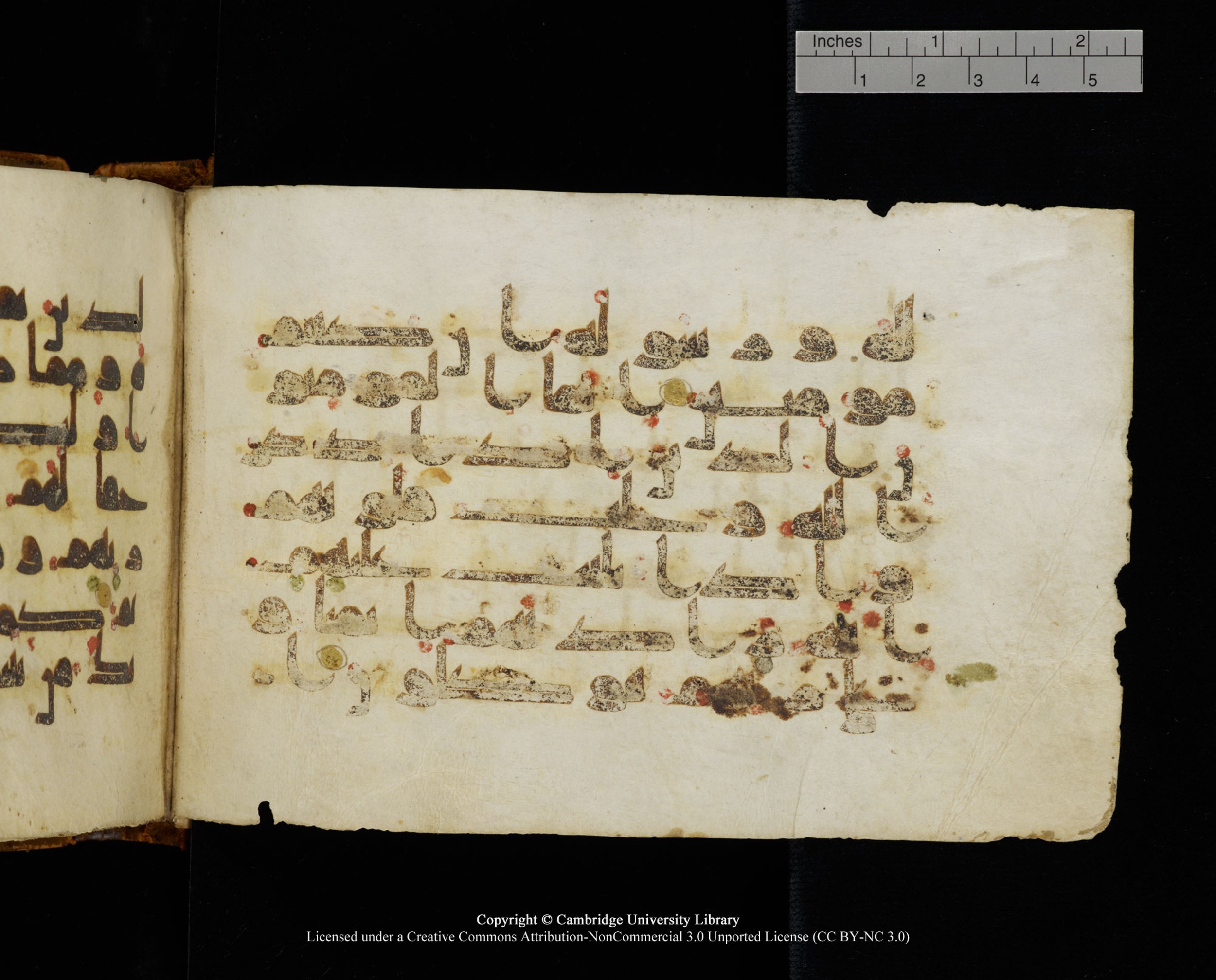 MS Add.1124, in kūfī D I script, showing Surah 8:2 from 9th to 10th Century AD found in Sinai Peninsula, currently housed at Cambridge University Library, Cambridge