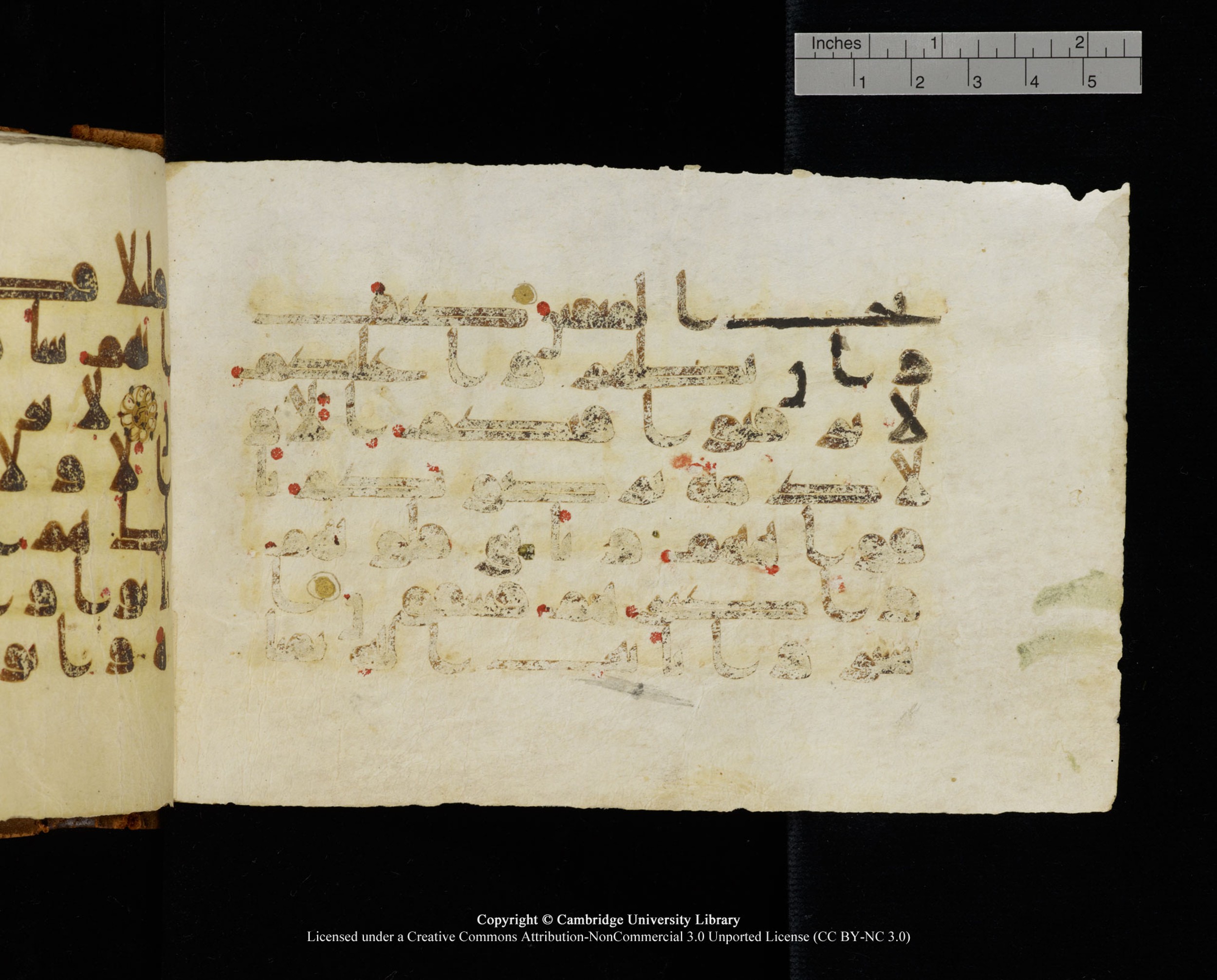 MS Add.1124 (Scan 2), in kūfī D I script, showing Surah 9:7 from 9th to 10th Century AD found in Sinai Peninsula, currently housed at Cambridge University Library, Cambridge