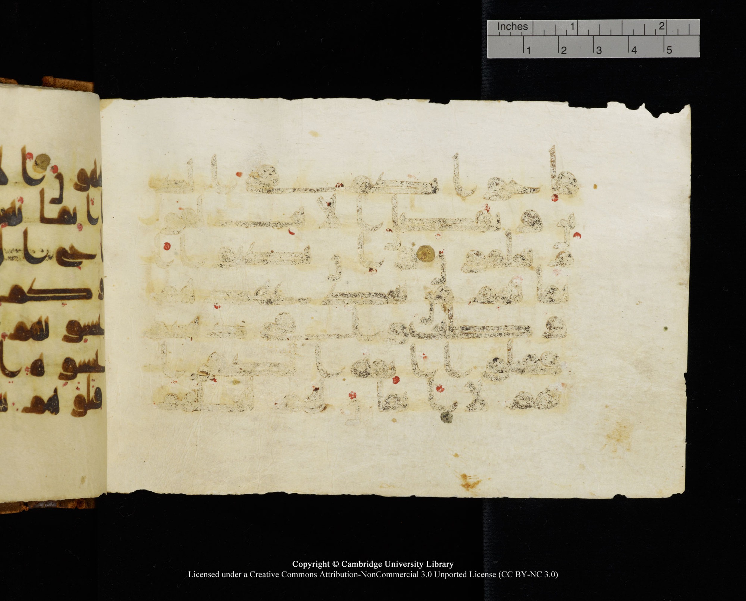 MS Add.1124 (Scan 1), in kūfī D I script, showing Surah 9:12 from 9th to 10th Century AD found in Sinai Peninsula, currently housed at Cambridge University Library, Cambridge