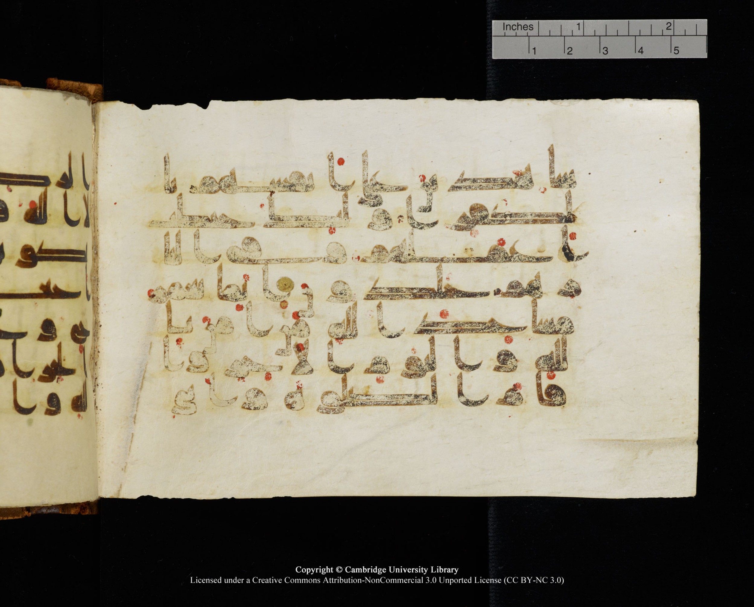 MS Add.1124 (Scan 1), in kūfī D I script, showing Surah 9:18 from 9th to 10th Century AD found in Sinai Peninsula, currently housed at Cambridge University Library, Cambridge
