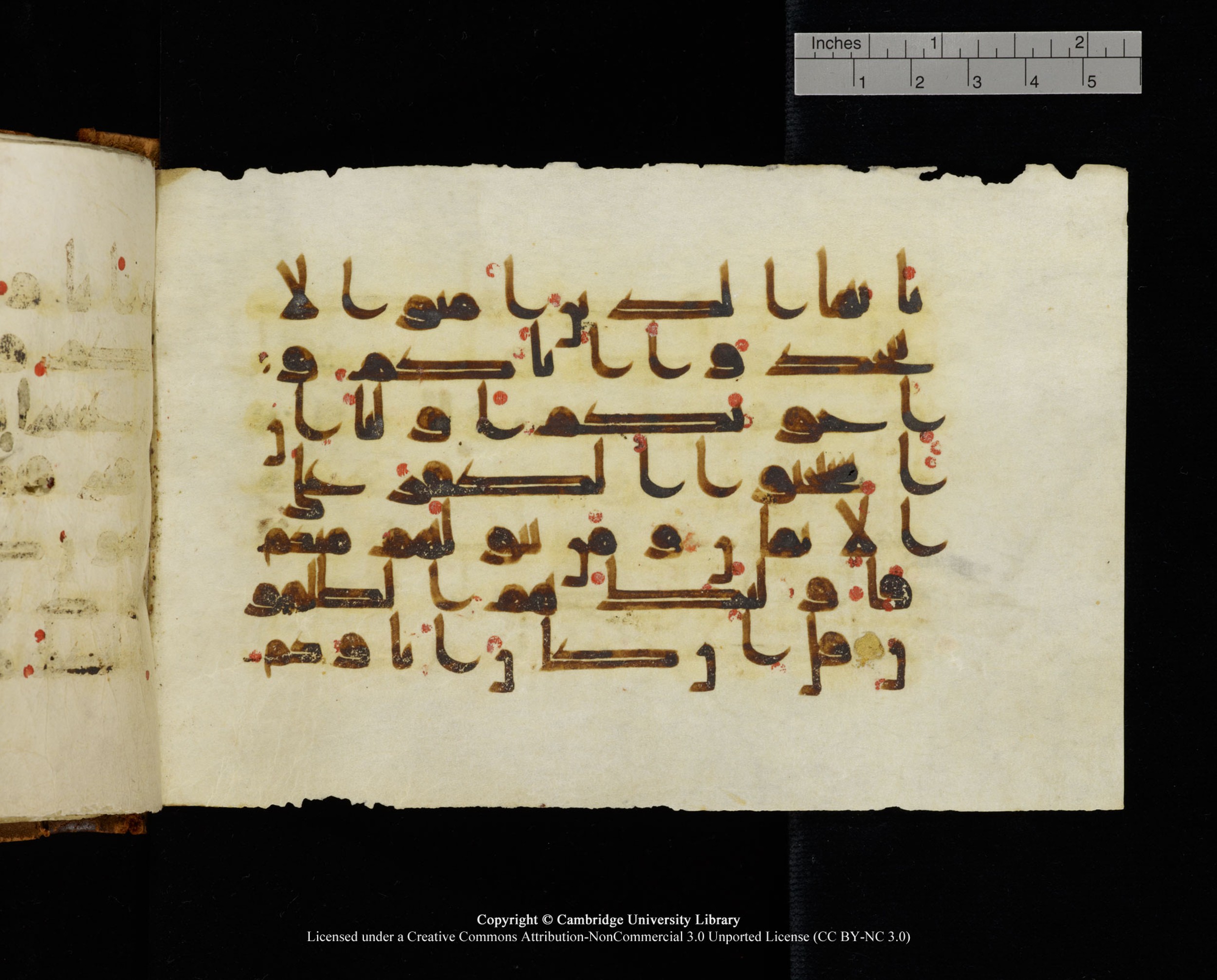 MS Add.1124, in kūfī D I script, showing Surah 9:23 from 9th to 10th Century AD found in Sinai Peninsula, currently housed at Cambridge University Library, Cambridge