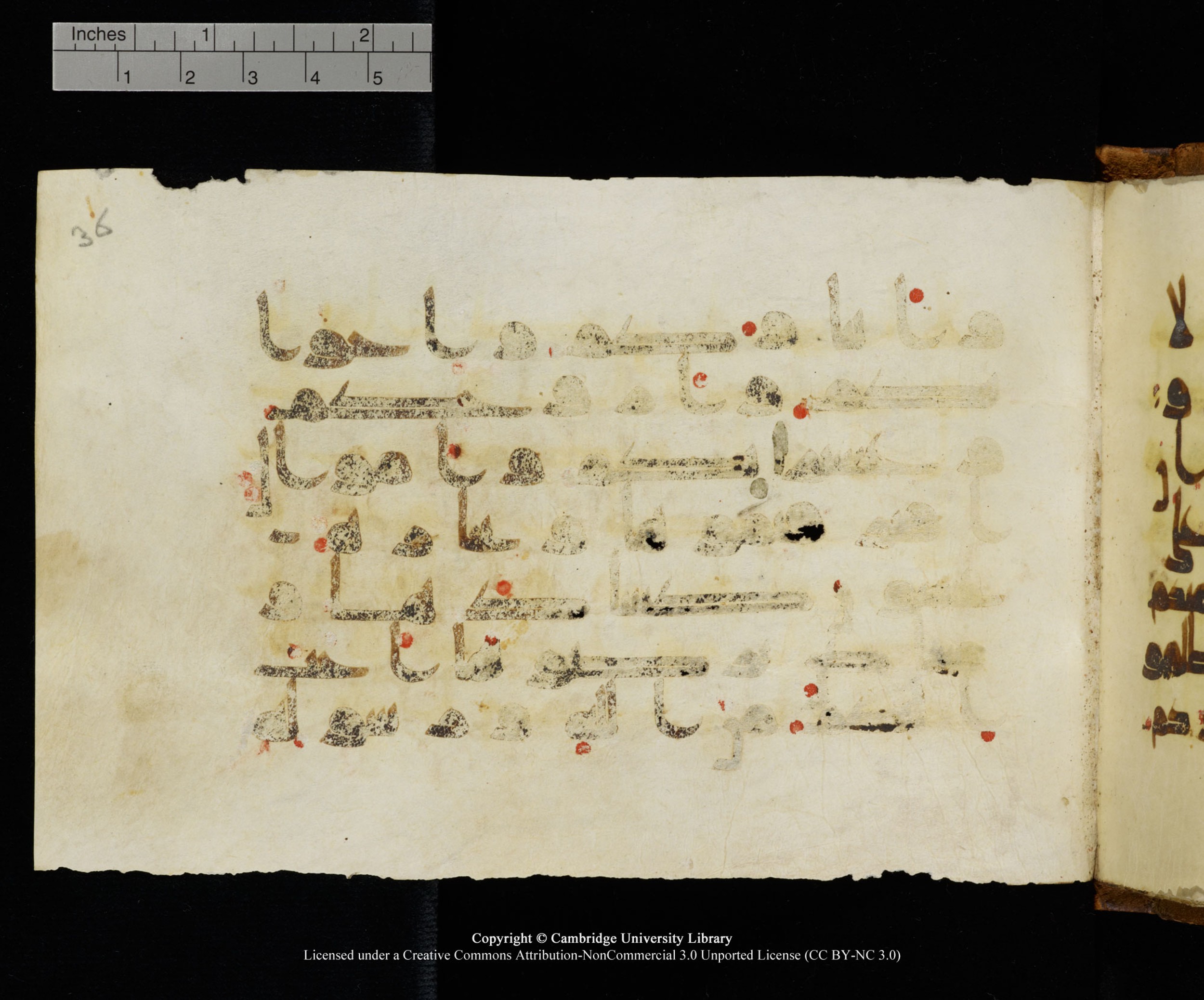 MS Add.1124 (Scan 2), in kūfī D I script, showing Surah 9:24 from 9th to 10th Century AD found in Sinai Peninsula, currently housed at Cambridge University Library, Cambridge