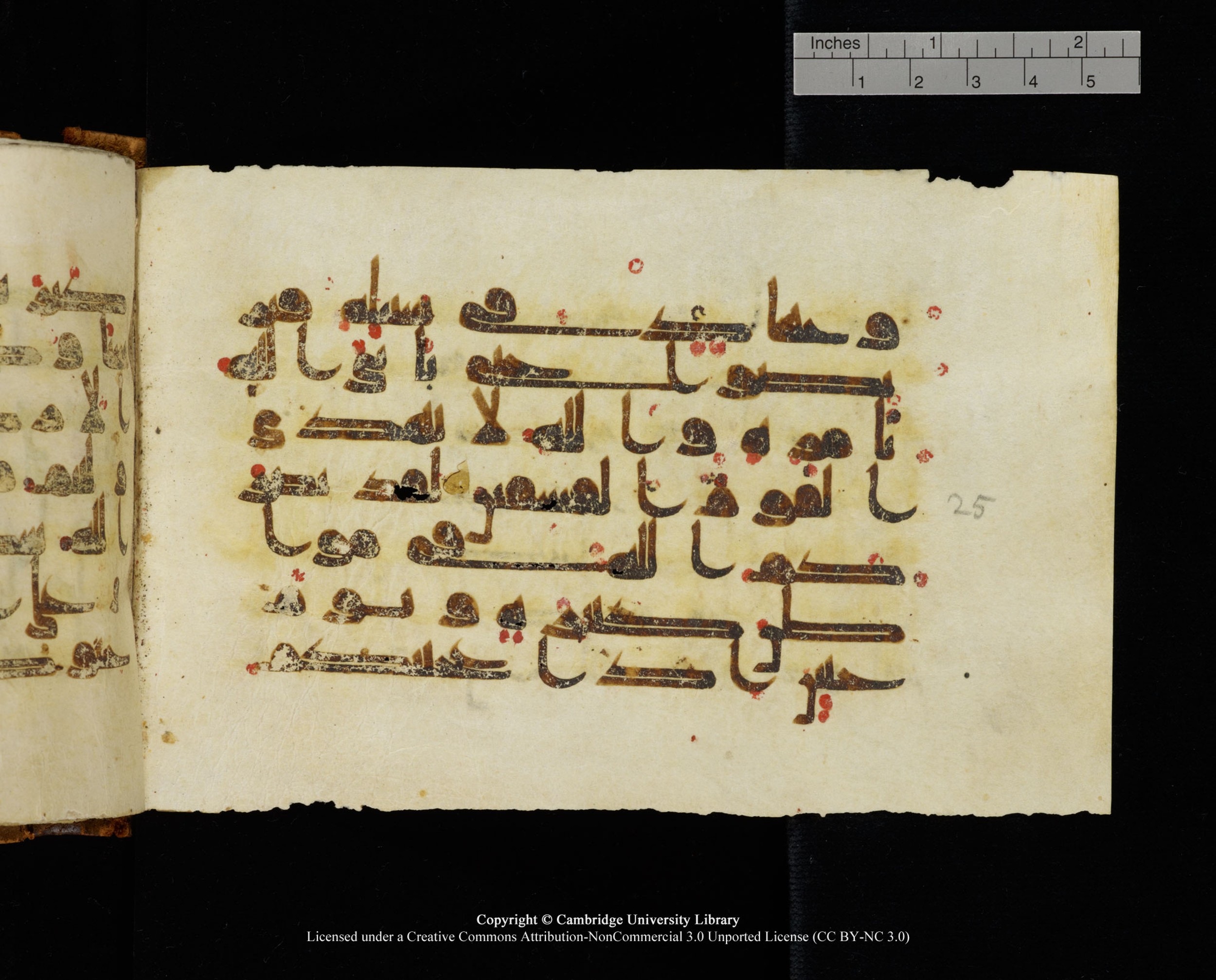 MS Add.1124 (Scan 3), in kūfī D I script, showing Surah 9:24 from 9th to 10th Century AD found in Sinai Peninsula, currently housed at Cambridge University Library, Cambridge