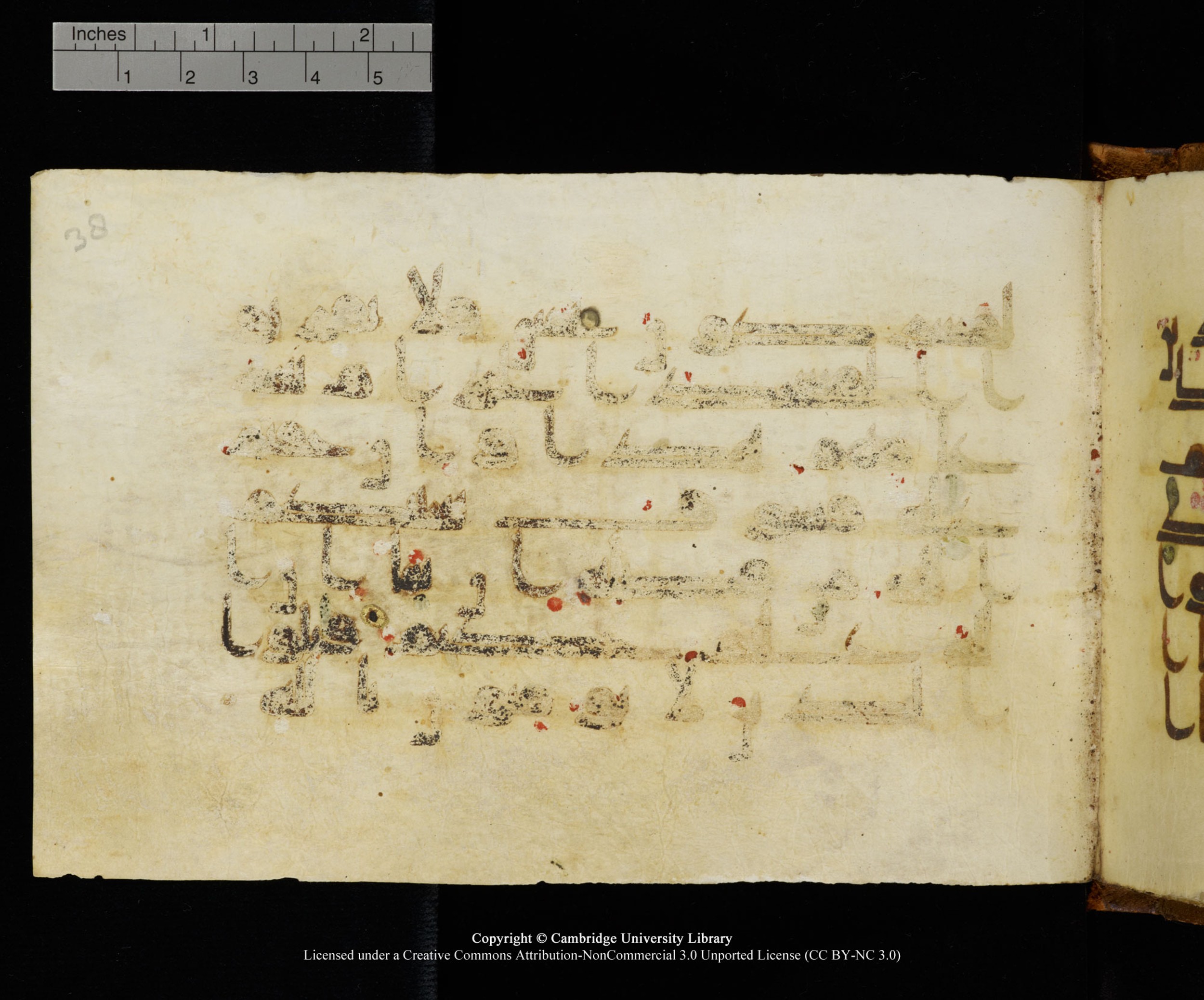 MS Add.1124 (Scan 1), in kūfī D I script, showing Surah 9:29 from 9th to 10th Century AD found in Sinai Peninsula, currently housed at Cambridge University Library, Cambridge