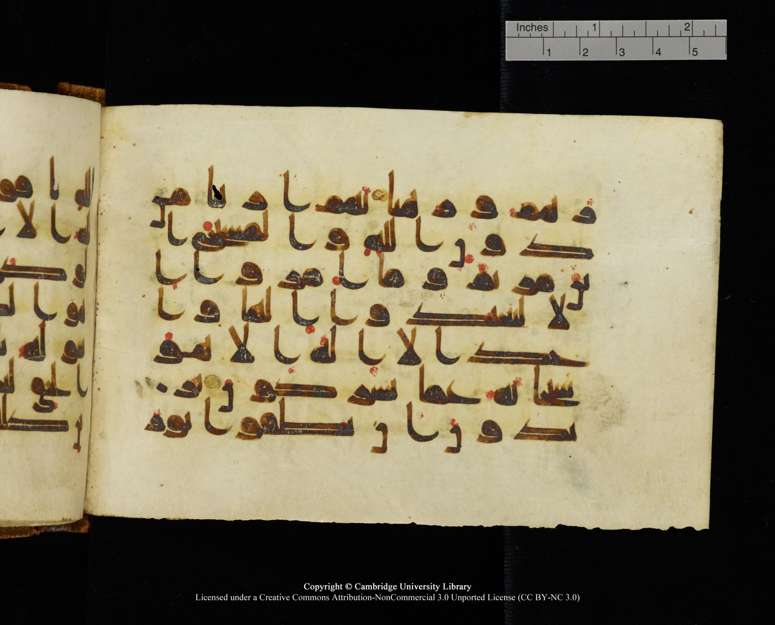 MS Add.1124 (Scan 1), in kūfī D I script, showing Surah 9:32 from 9th to 10th Century AD found in Sinai Peninsula, currently housed at Cambridge University Library, Cambridge