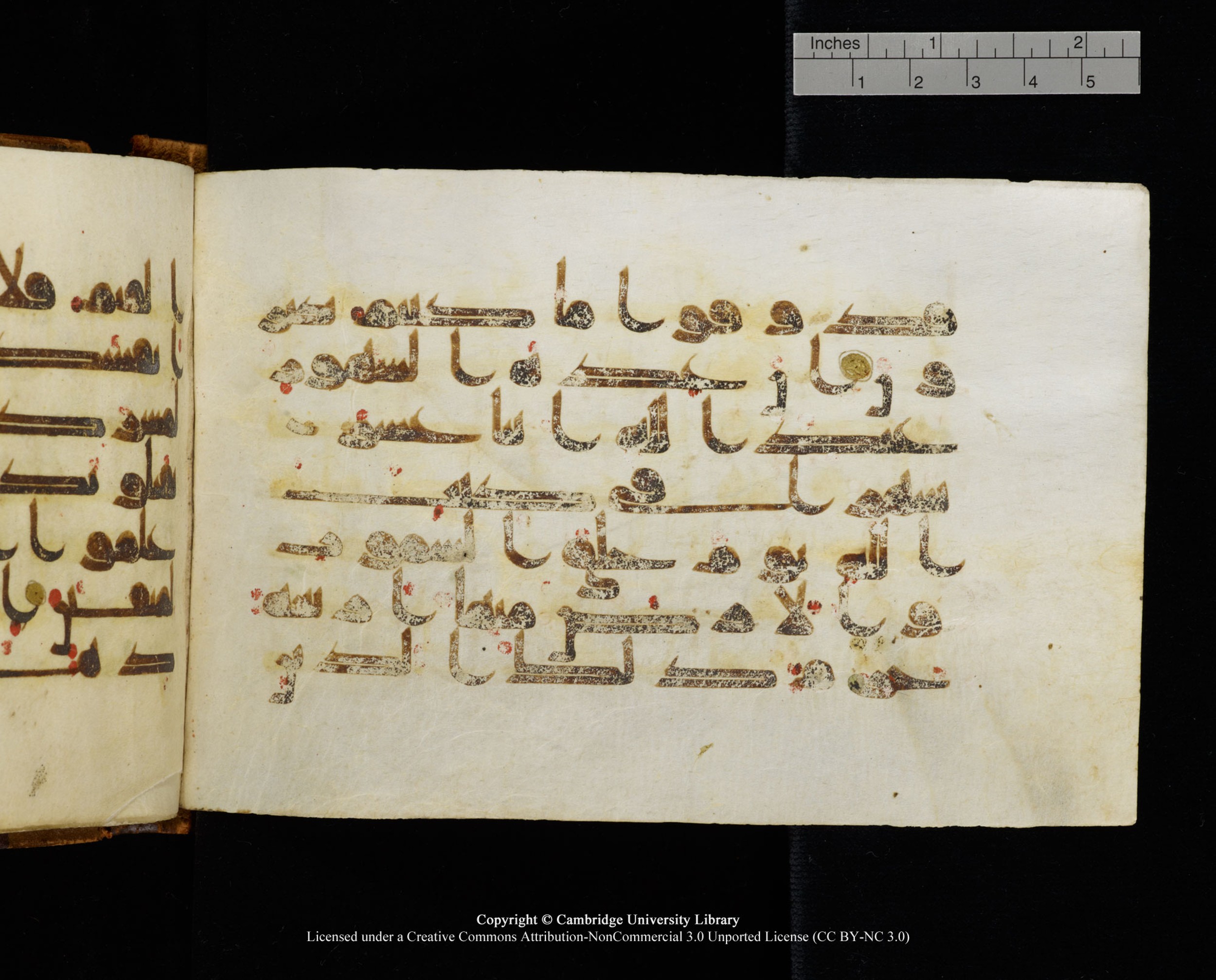 MS Add.1124 (Scan 2), in kūfī D I script, showing Surah 9:35 from 9th to 10th Century AD found in Sinai Peninsula, currently housed at Cambridge University Library, Cambridge