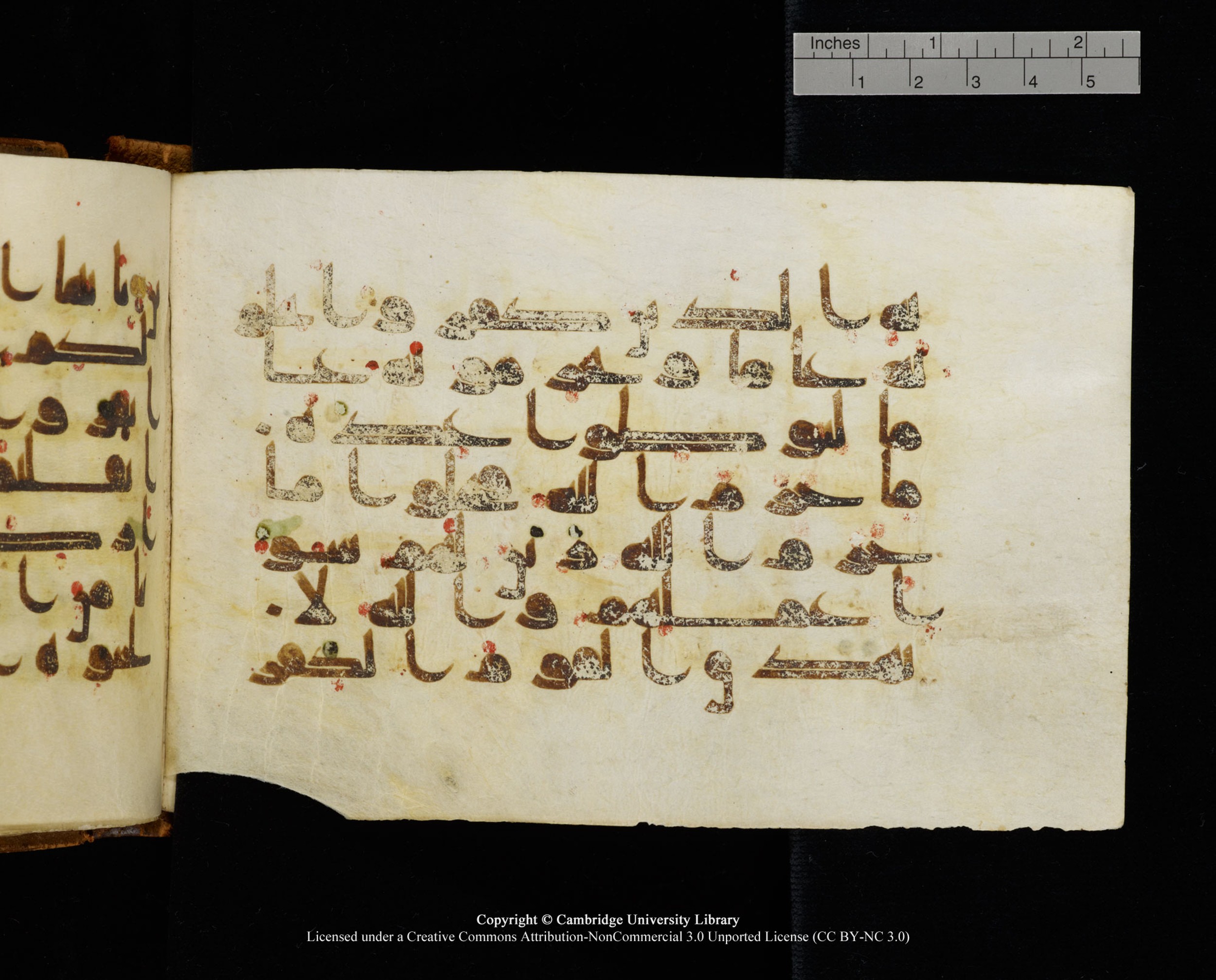 MS Add.1124 (Scan 2), in kūfī D I script, showing Surah 9:37 from 9th to 10th Century AD found in Sinai Peninsula, currently housed at Cambridge University Library, Cambridge
