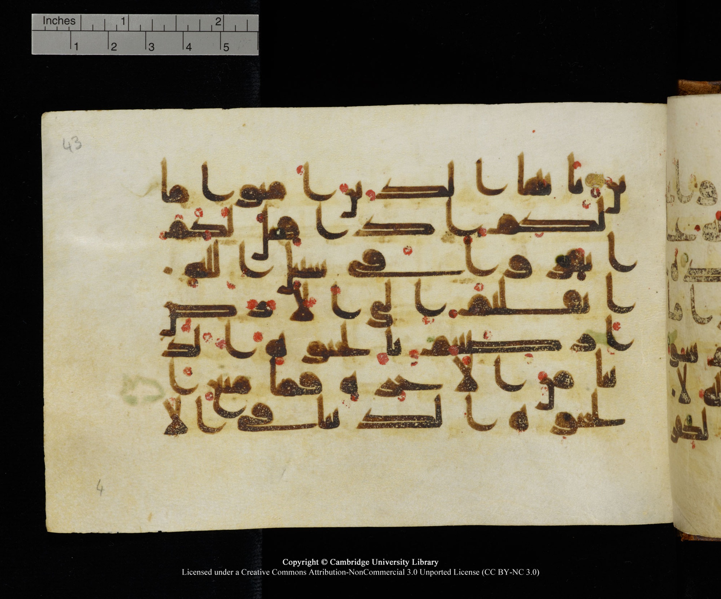 MS Add.1124 (Scan 1), in kūfī D I script, showing Surah 9:38 from 9th to 10th Century AD found in Sinai Peninsula, currently housed at Cambridge University Library, Cambridge