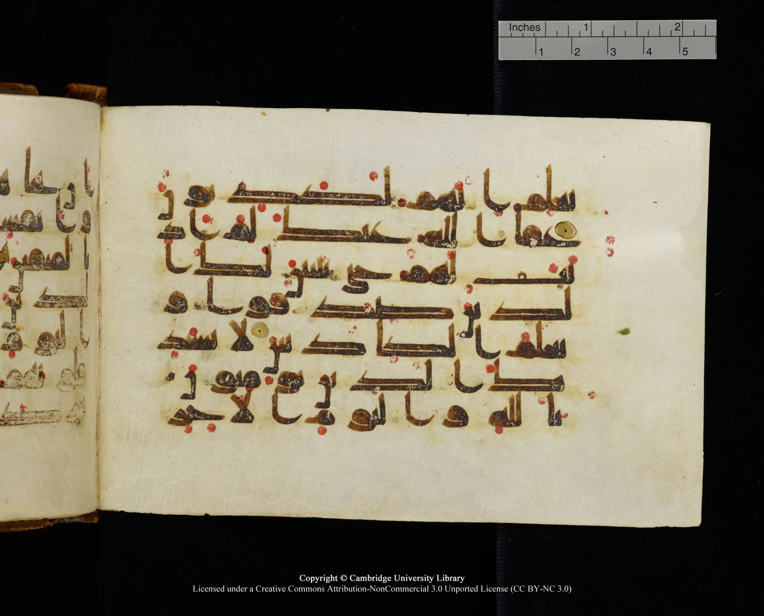 MS Add.1124, in kūfī D I script, showing Surah 9:43 from 9th to 10th Century AD found in Sinai Peninsula, currently housed at Cambridge University Library, Cambridge