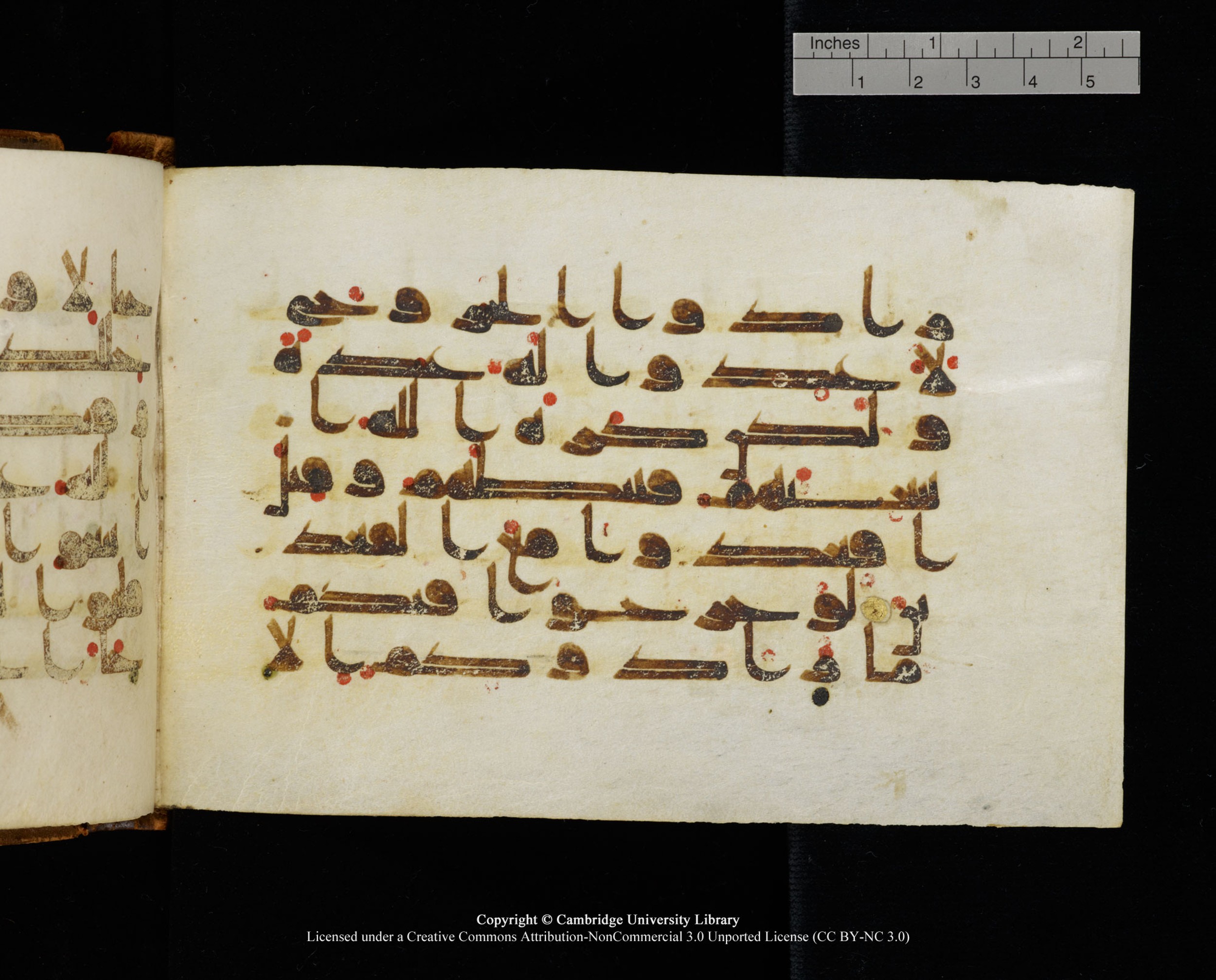 MS Add.1124 (Scan 2), in kūfī D I script, showing Surah 9:46 from 9th to 10th Century AD found in Sinai Peninsula, currently housed at Cambridge University Library, Cambridge