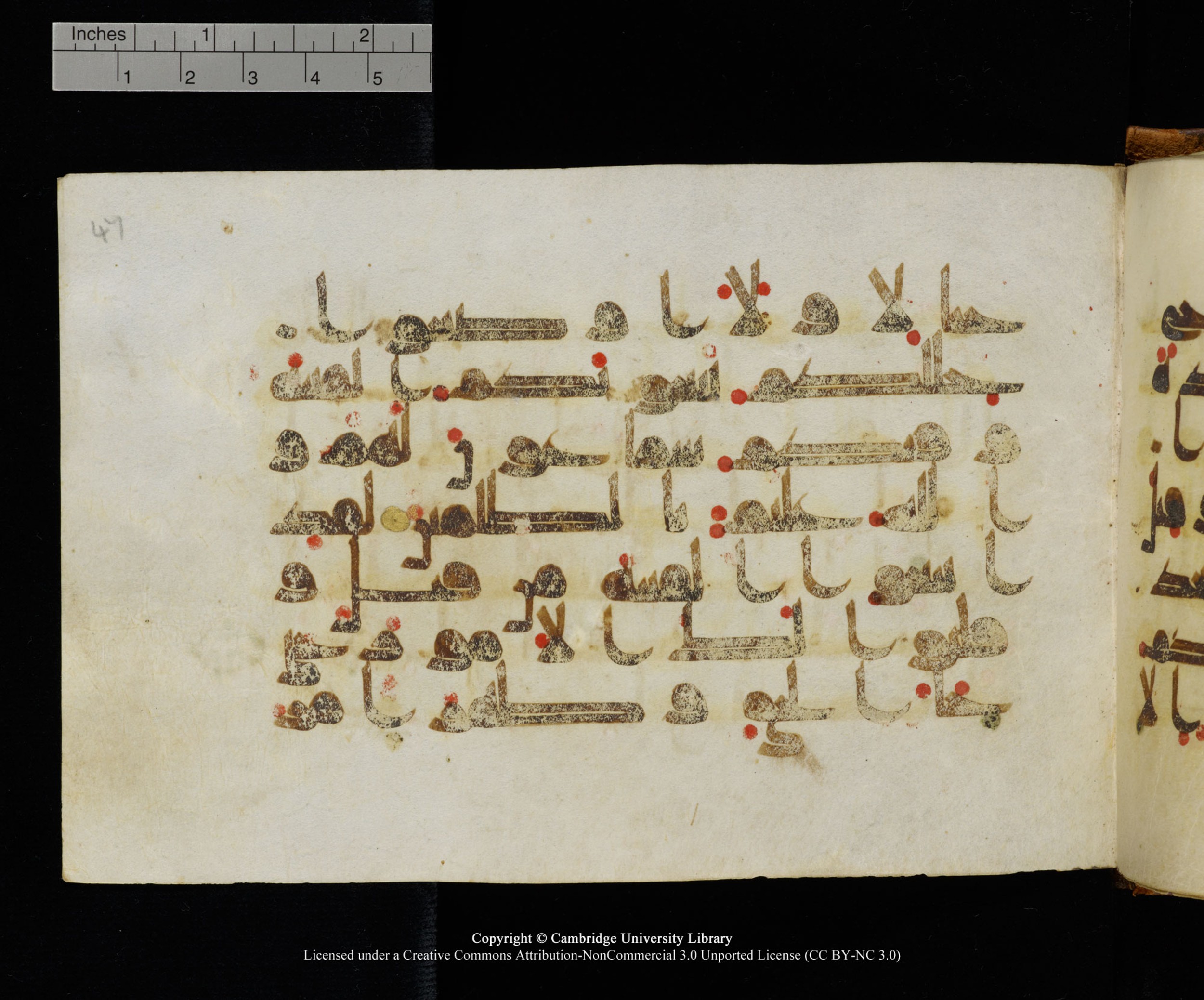 MS Add.1124 (Scan 1), in kūfī D I script, showing Surah 9:48 from 9th to 10th Century AD found in Sinai Peninsula, currently housed at Cambridge University Library, Cambridge