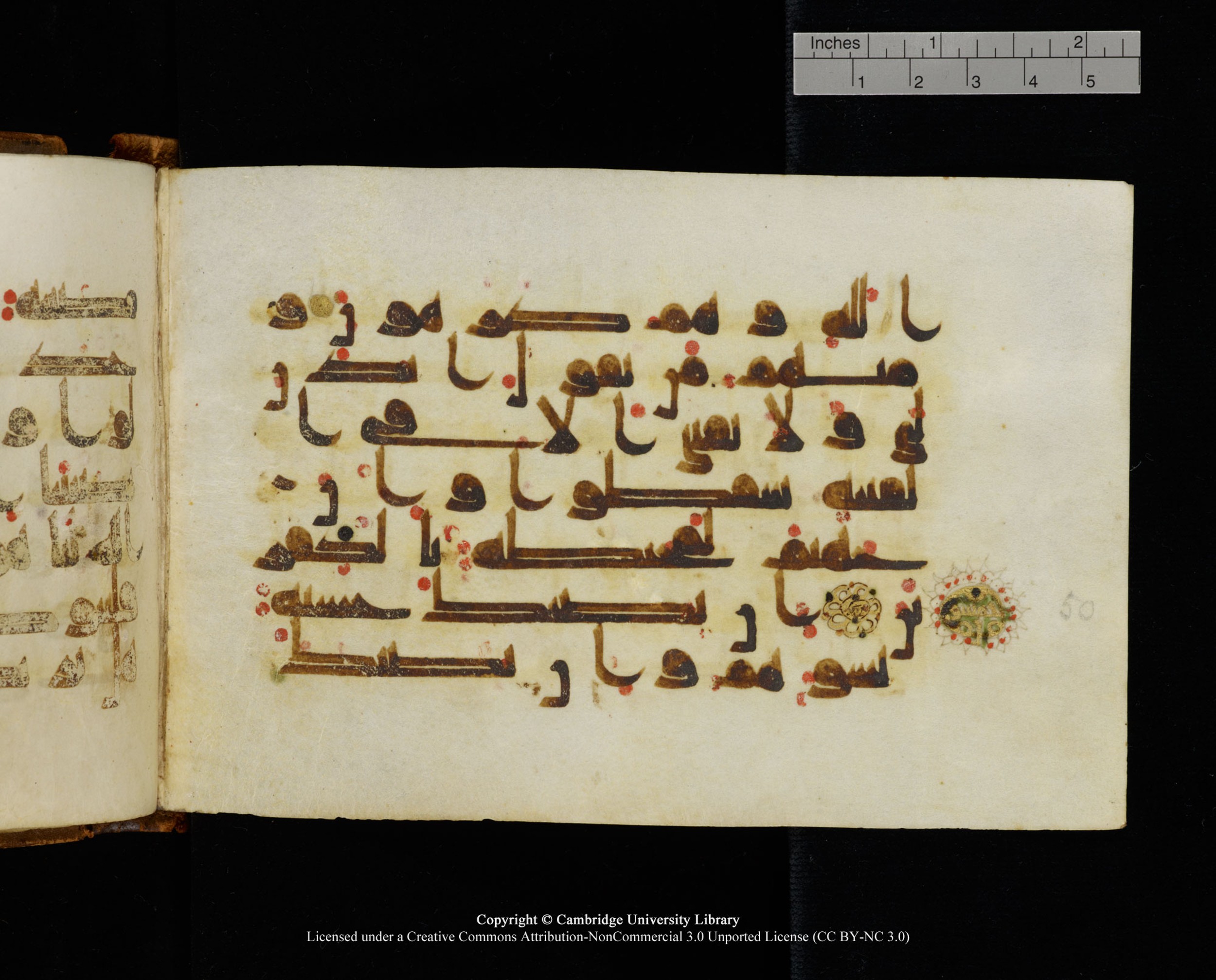 MS Add.1124, in kūfī D I script, showing Surah 9:49 from 9th to 10th Century AD found in Sinai Peninsula, currently housed at Cambridge University Library, Cambridge