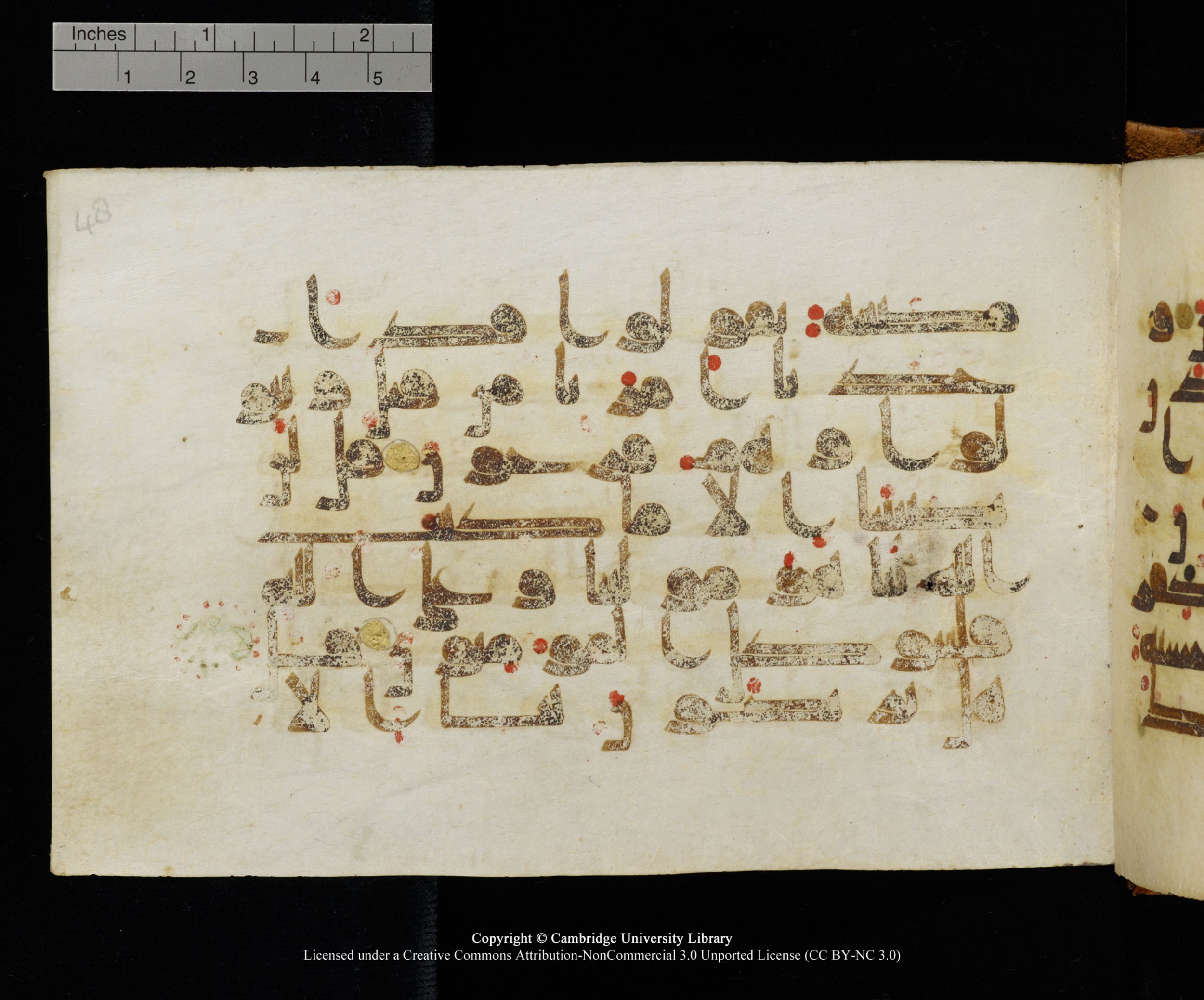 MS Add.1124, in kūfī D I script, showing Surah 9:51 from 9th to 10th Century AD found in Sinai Peninsula, currently housed at Cambridge University Library, Cambridge