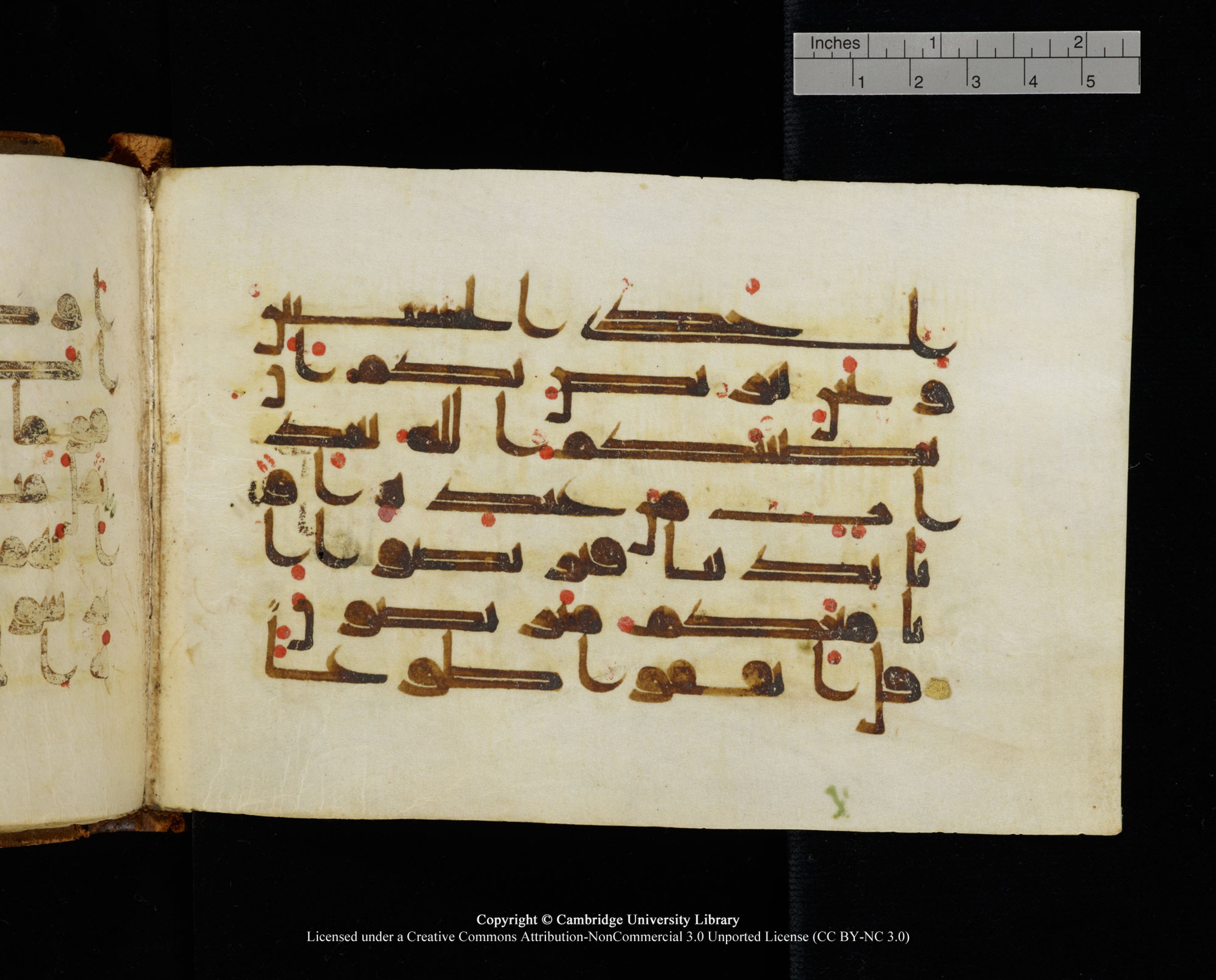 MS Add.1124 (Scan 2), in kūfī D I script, showing Surah 9:52 from 9th to 10th Century AD found in Sinai Peninsula, currently housed at Cambridge University Library, Cambridge