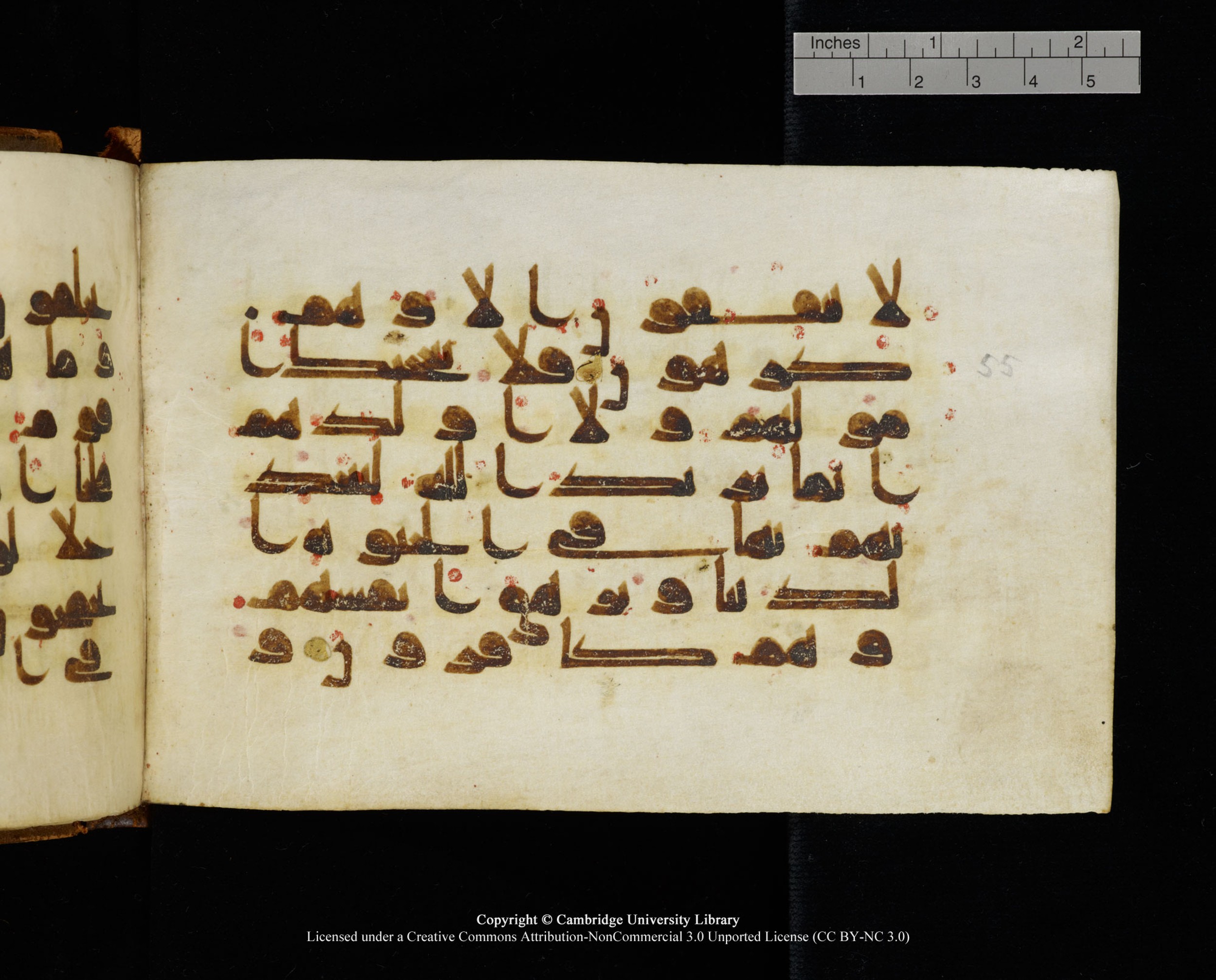MS Add.1124 (Scan 1), in kūfī D I script, showing Surah 9:56 from 9th to 10th Century AD found in Sinai Peninsula, currently housed at Cambridge University Library, Cambridge