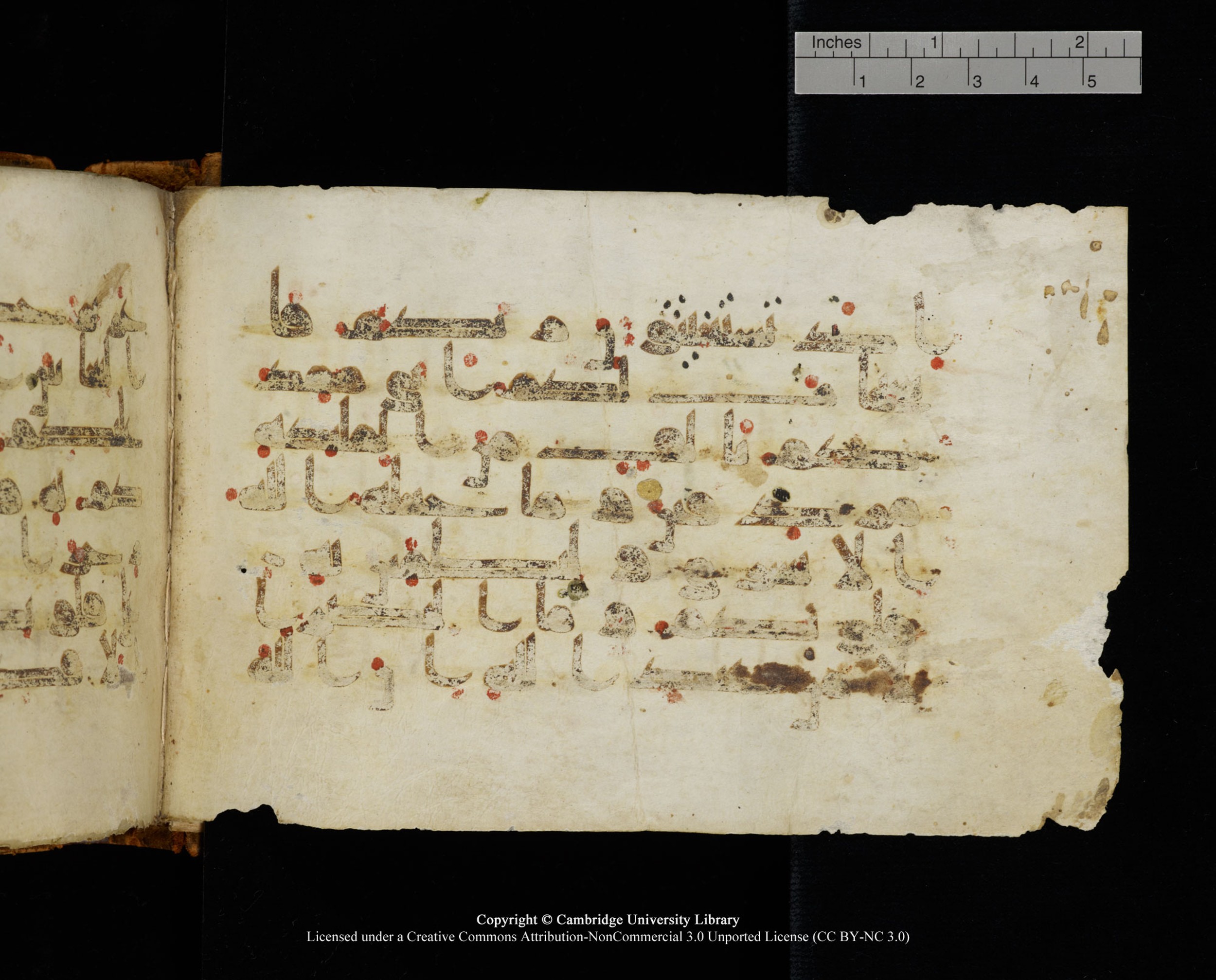 MS Add.1124, in kūfī D I script, showing Surah 8:9 from 9th to 10th Century AD found in Sinai Peninsula, currently housed at Cambridge University Library, Cambridge