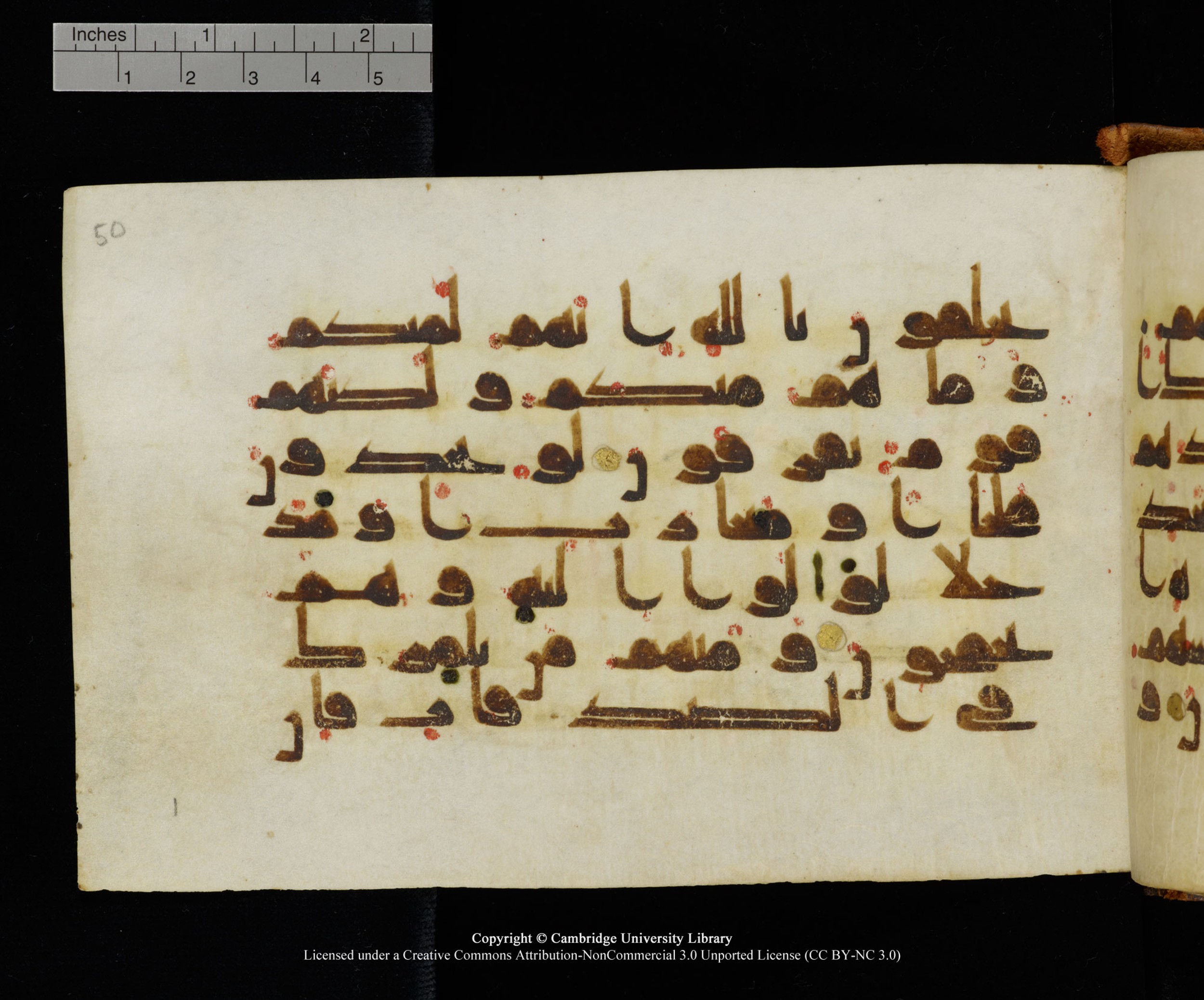 MS Add.1124 (Scan 2), in kūfī D I script, showing Surah 9:56 from 9th to 10th Century AD found in Sinai Peninsula, currently housed at Cambridge University Library, Cambridge