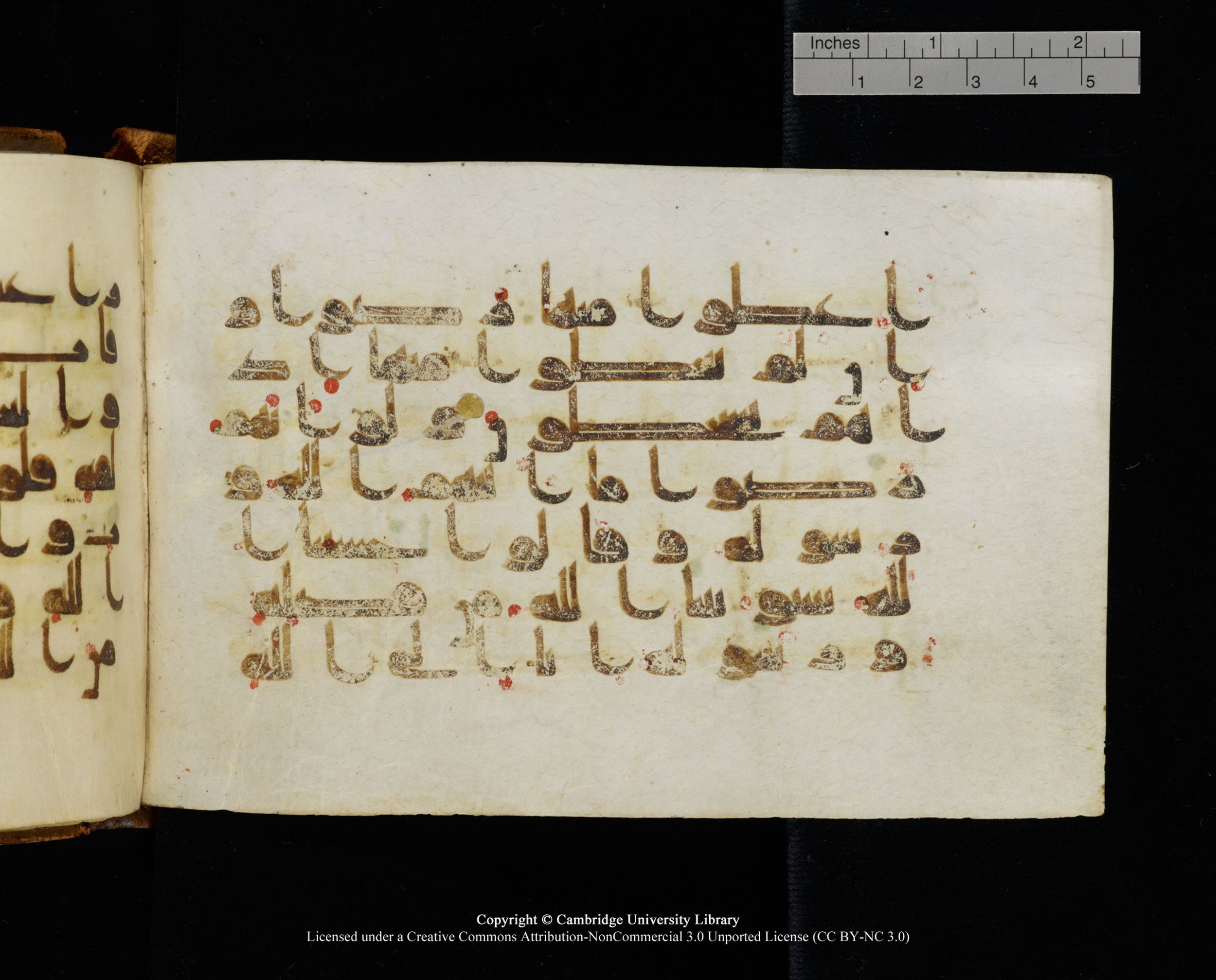 MS Add.1124 (Scan 2), in kūfī D I script, showing Surah 9:58 from 9th to 10th Century AD found in Sinai Peninsula, currently housed at Cambridge University Library, Cambridge