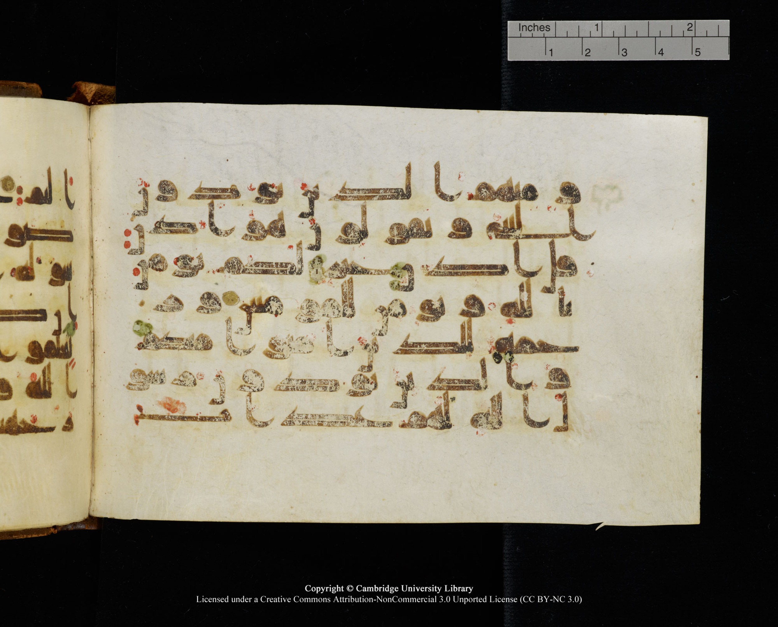 MS Add.1124 (Scan 1), in kūfī D I script, showing Surah 9:61 from 9th to 10th Century AD found in Sinai Peninsula, currently housed at Cambridge University Library, Cambridge