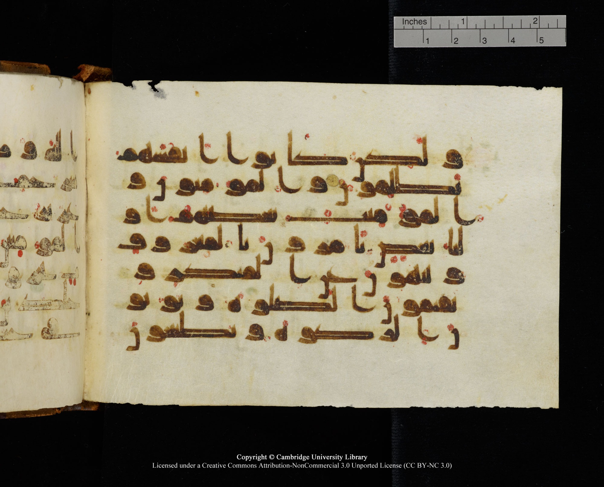 MS Add.1124 (Scan 1), in kūfī D I script, showing Surah 9:71 from 9th to 10th Century AD found in Sinai Peninsula, currently housed at Cambridge University Library, Cambridge