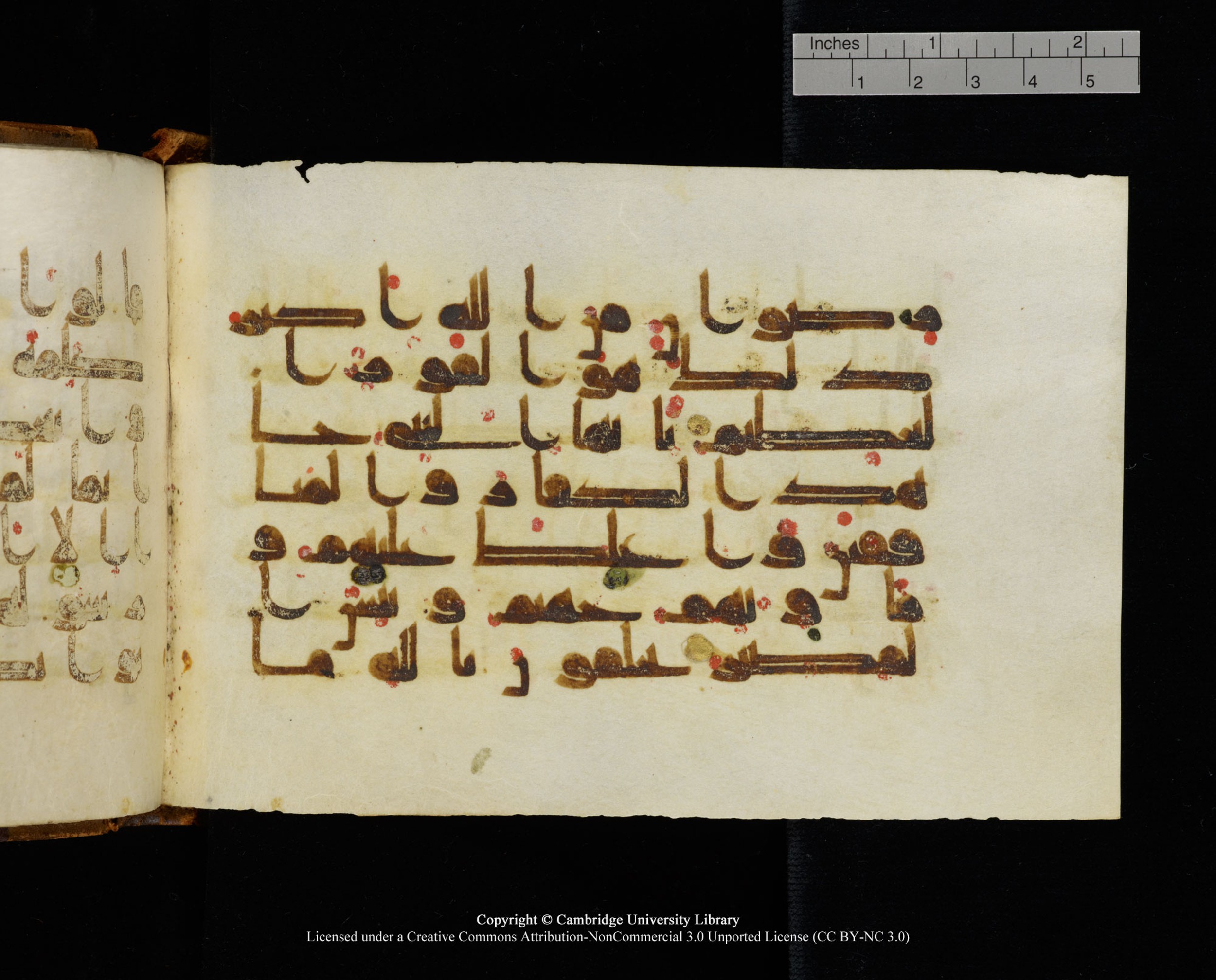 MS Add.1124, in kūfī D I script, showing Surah 9:73 from 9th to 10th Century AD found in Sinai Peninsula, currently housed at Cambridge University Library, Cambridge