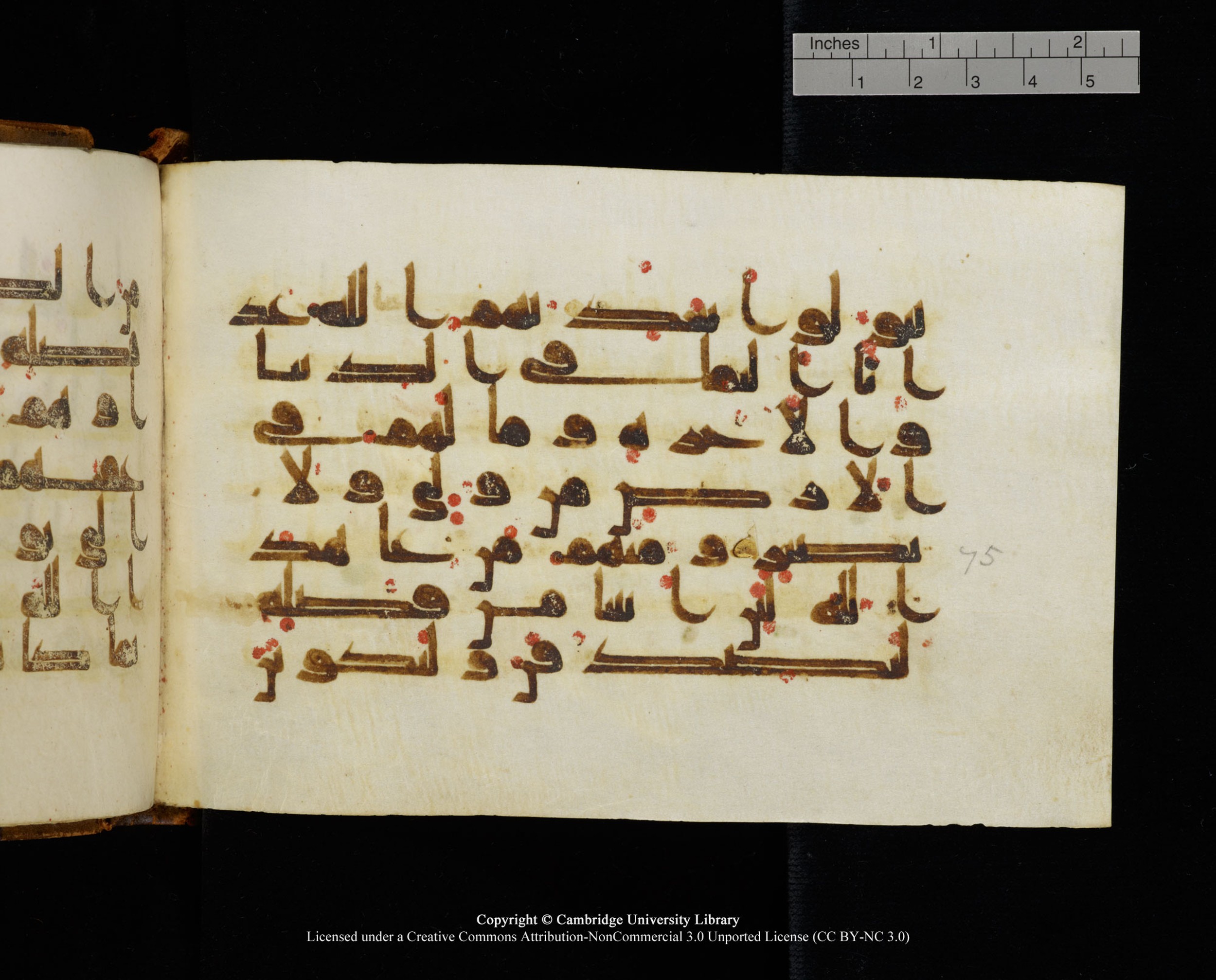MS Add.1124 (Scan 1), in kūfī D I script, showing Surah 9:75 from 9th to 10th Century AD found in Sinai Peninsula, currently housed at Cambridge University Library, Cambridge
