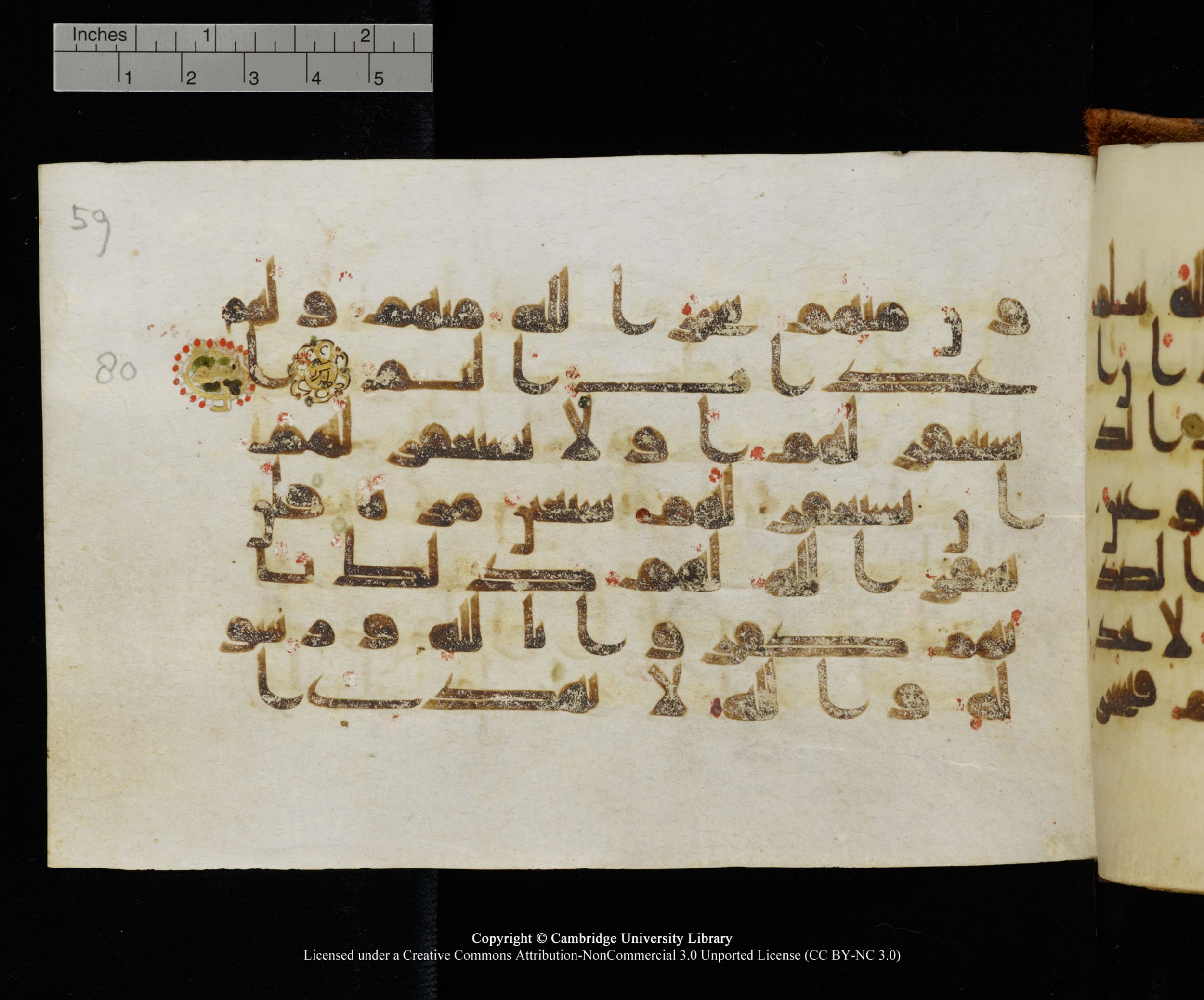 MS Add.1124 (Scan 1), in kūfī D I script, showing Surah 9:80 from 9th to 10th Century AD found in Sinai Peninsula, currently housed at Cambridge University Library, Cambridge