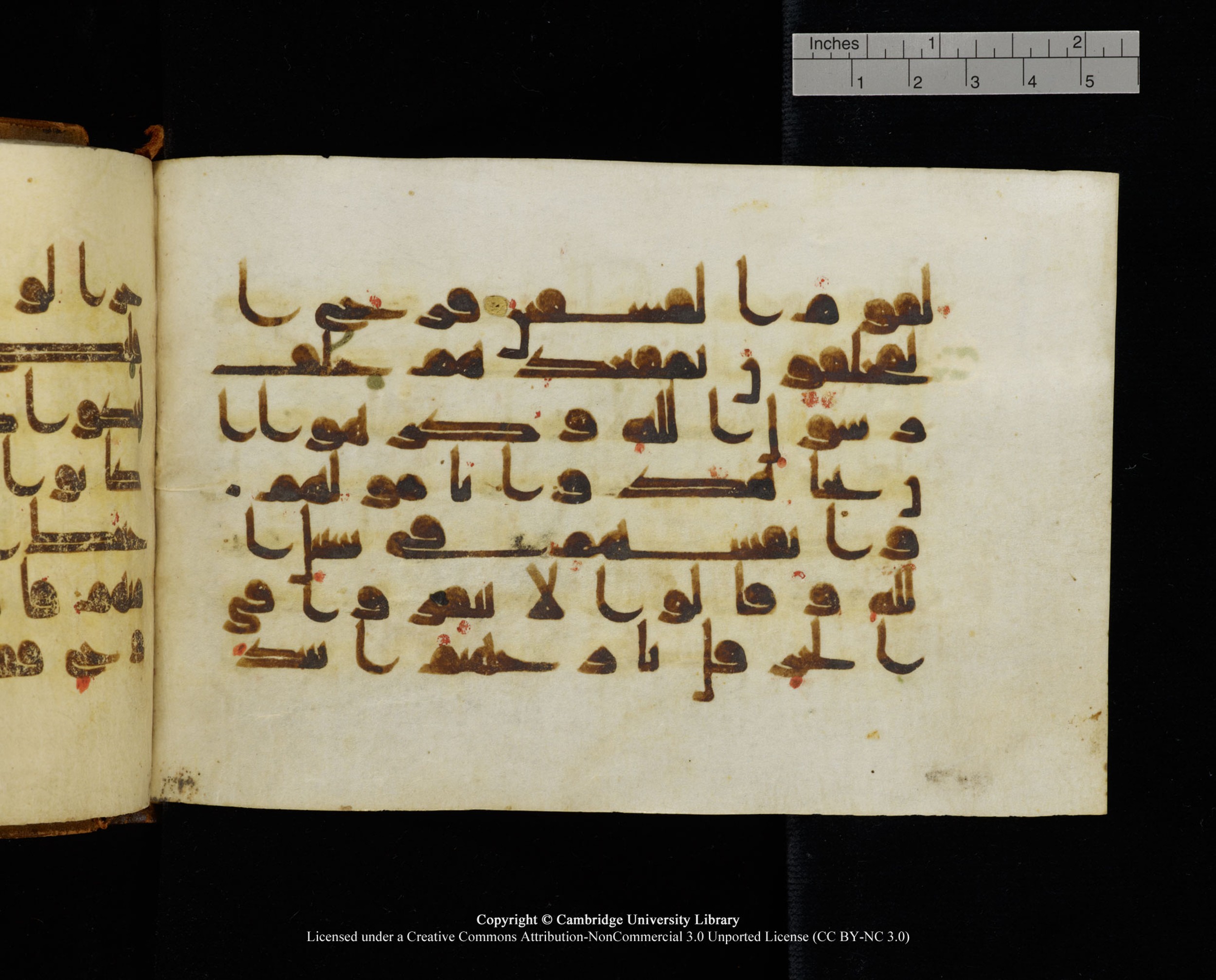 MS Add.1124 (Scan 2), in kūfī D I script, showing Surah 9:80 from 9th to 10th Century AD found in Sinai Peninsula, currently housed at Cambridge University Library, Cambridge