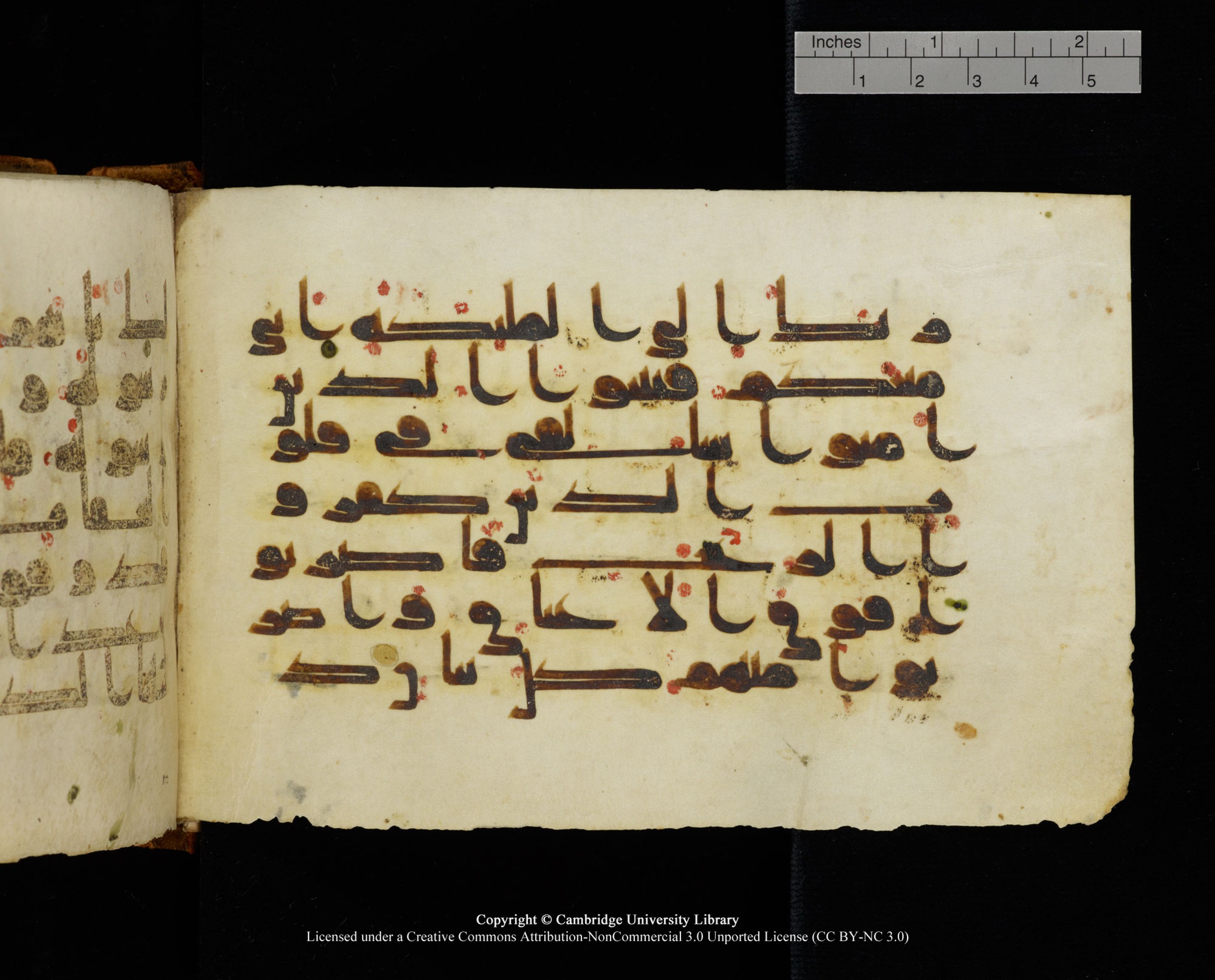 MS Add.1124 (Scan 1), in kūfī D I script, showing Surah 8:13 from 9th to 10th Century AD found in Sinai Peninsula, currently housed at Cambridge University Library, Cambridge