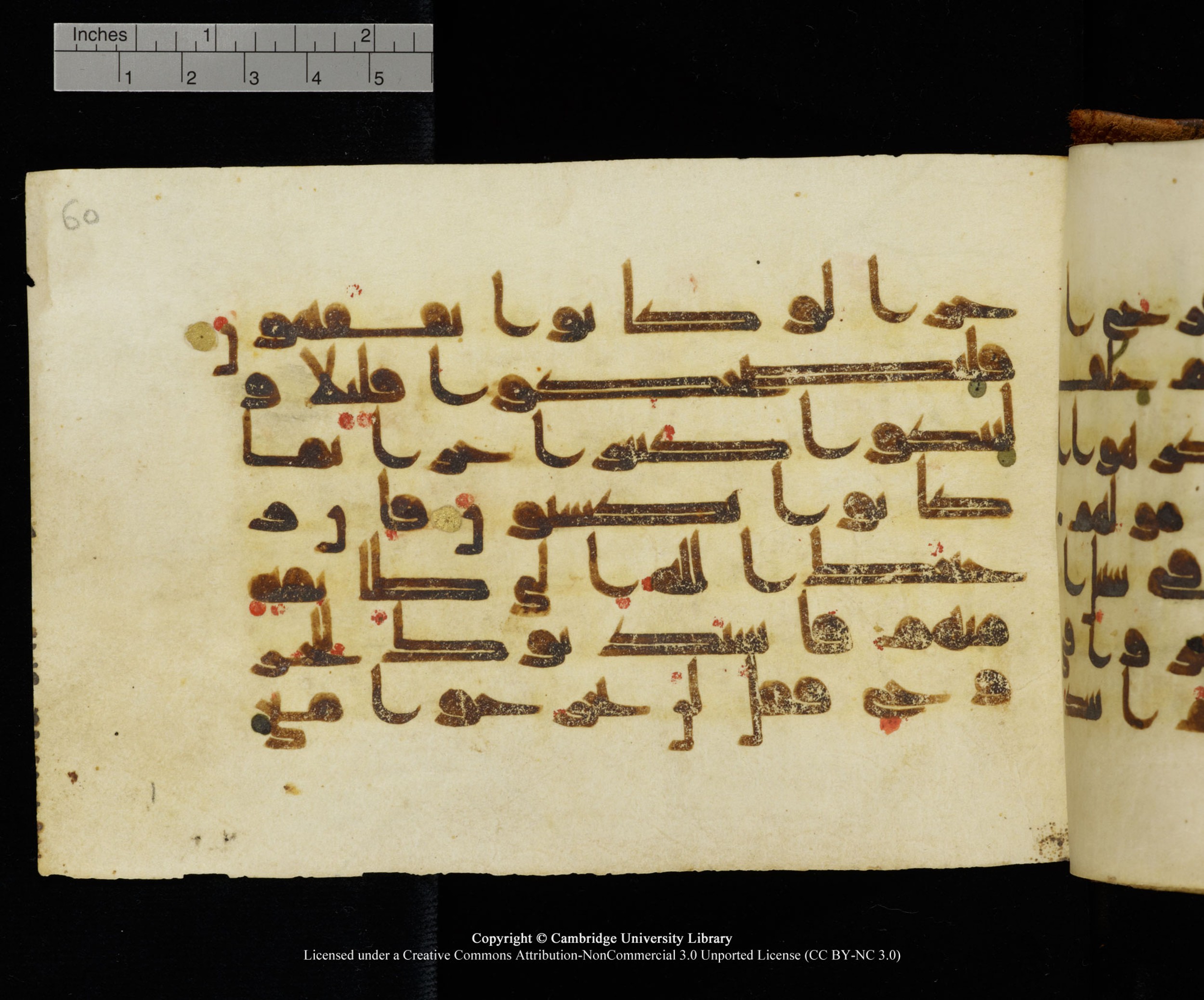 MS Add.1124 (Scan 1), in kūfī D I script, showing Surah 9:83 from 9th to 10th Century AD found in Sinai Peninsula, currently housed at Cambridge University Library, Cambridge