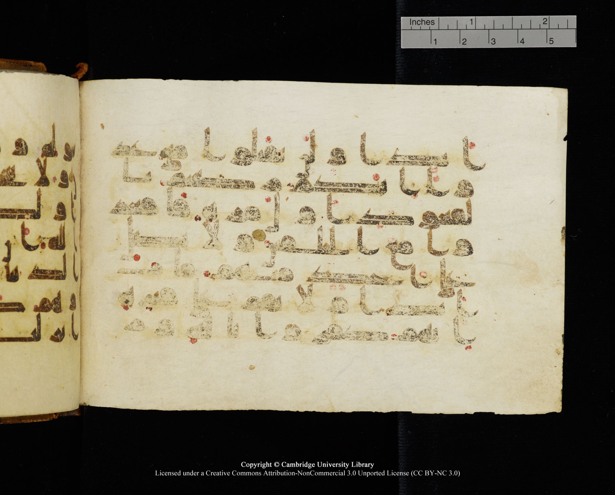 MS Add.1124 (Scan 2), in kūfī D I script, showing Surah 9:83 from 9th to 10th Century AD found in Sinai Peninsula, currently housed at Cambridge University Library, Cambridge