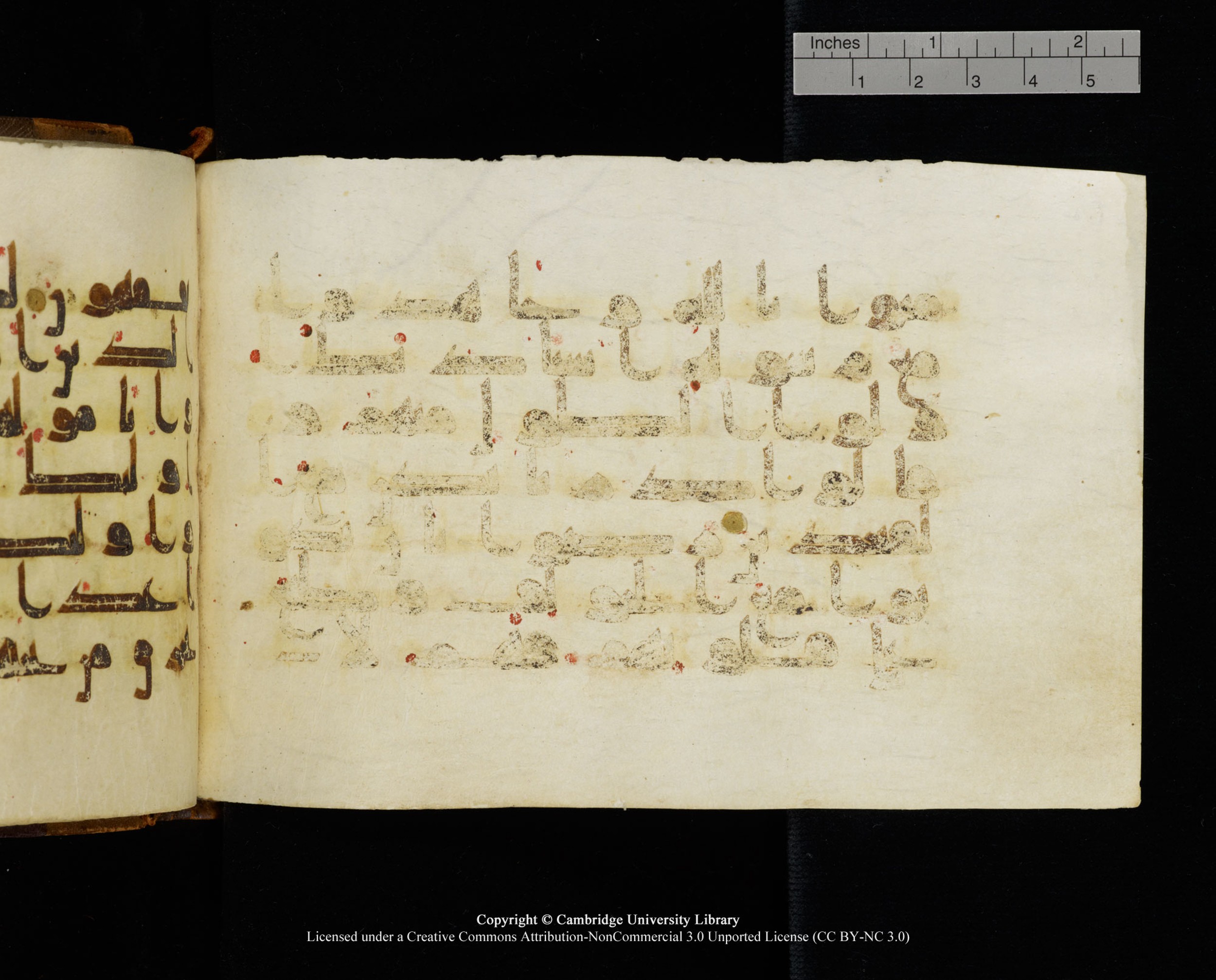 MS Add.1124 (Scan 1), in kūfī D I script, showing Surah 9:87 from 9th to 10th Century AD found in Sinai Peninsula, currently housed at Cambridge University Library, Cambridge