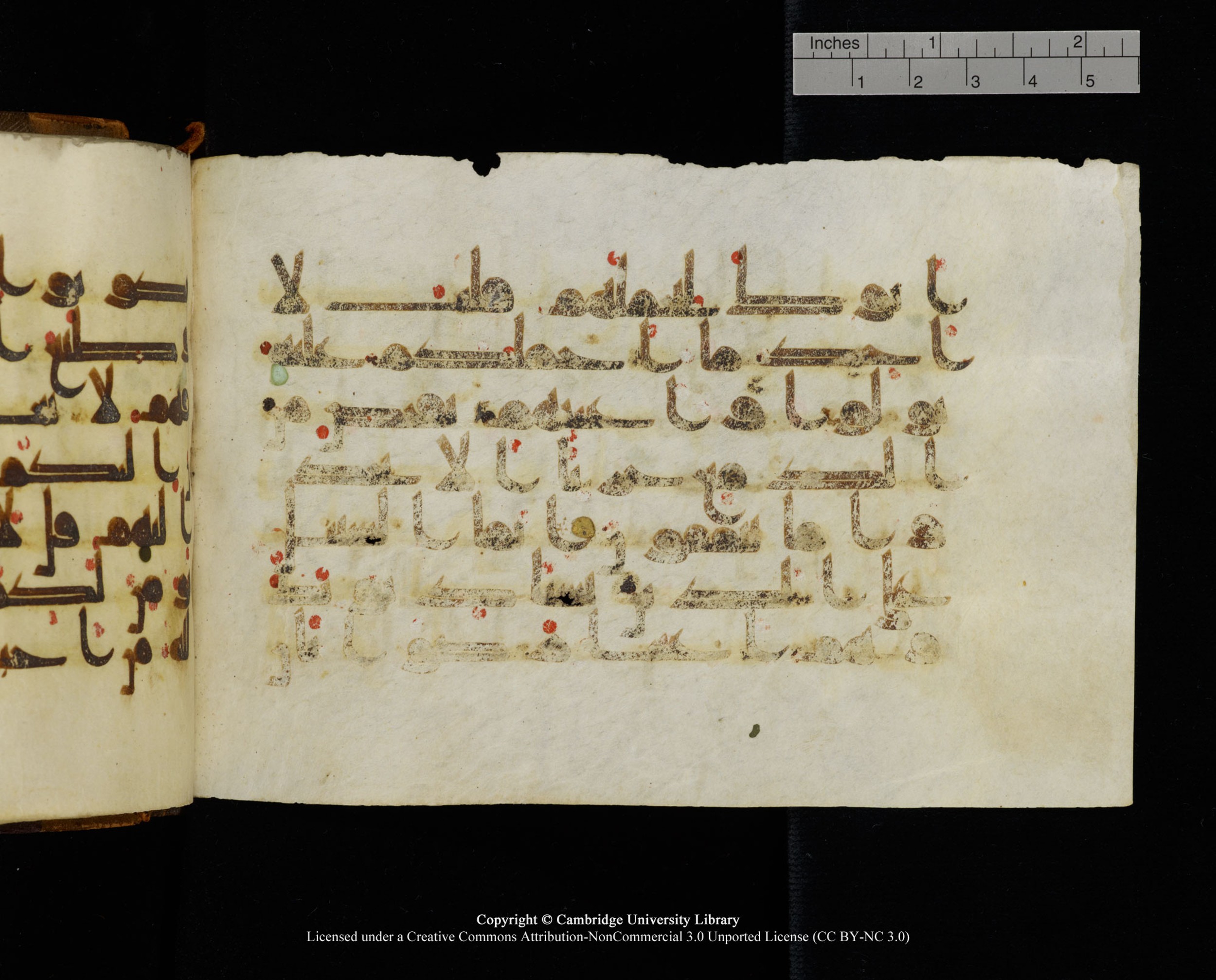 MS Add.1124 (Scan 2), in kūfī D I script, showing Surah 9:92 from 9th to 10th Century AD found in Sinai Peninsula, currently housed at Cambridge University Library, Cambridge