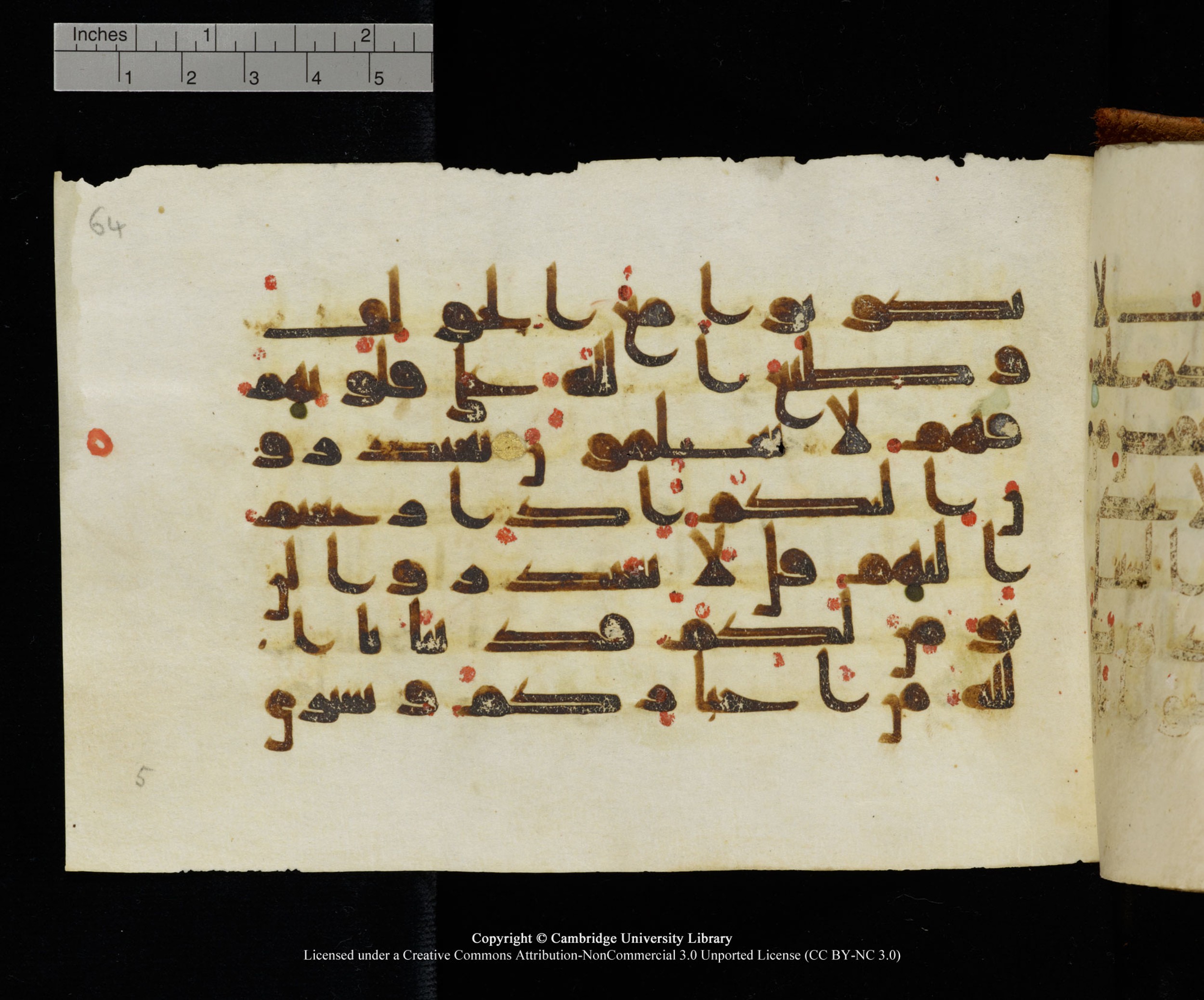 MS Add.1124 (Scan 2), in kūfī D I script, showing Surah 9:93 from 9th to 10th Century AD found in Sinai Peninsula, currently housed at Cambridge University Library, Cambridge